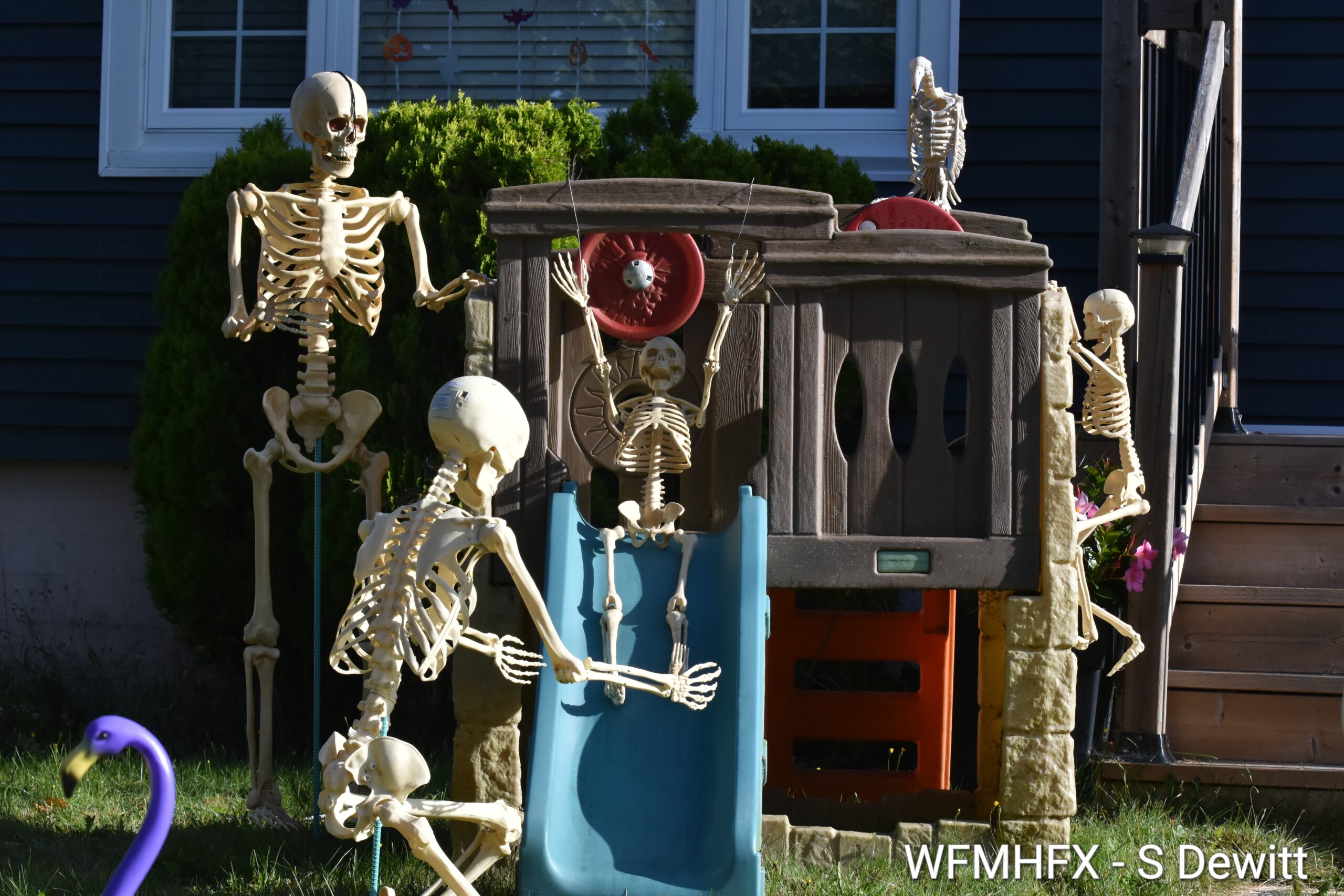 In photos - Quit playing around, it's only Halloween!