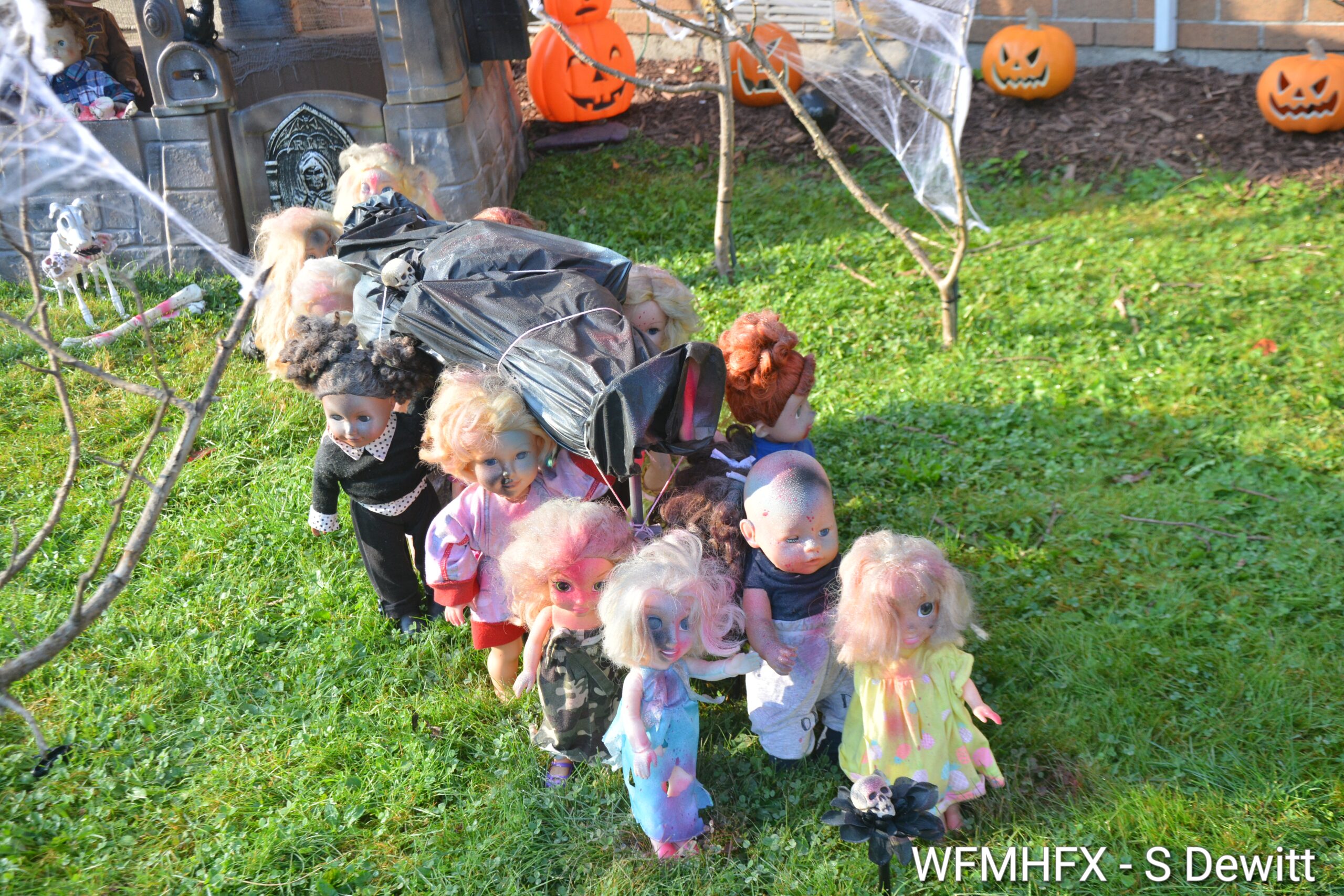 In photos - Don't get caught hanging around this nightmarish yard on Princess Margaret Blvd in Dartmouth, or you may find yourself in grave danger!