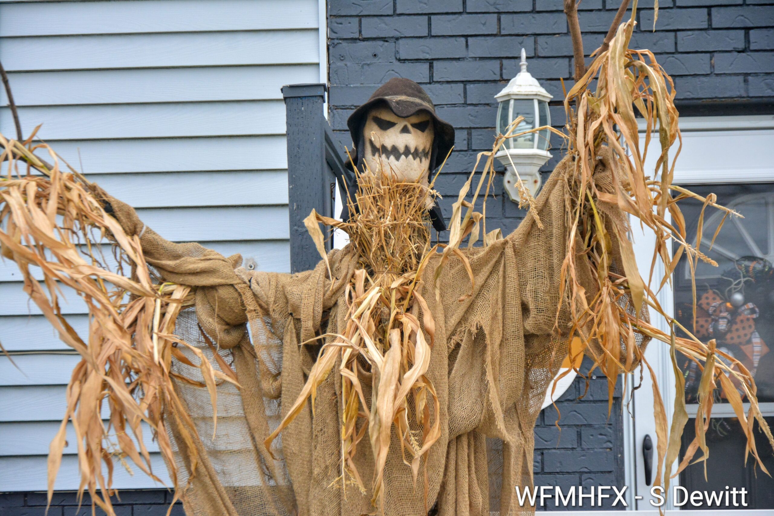 In photos - You'll get pretty scared crossing paths with this eerie lot on Cow Bay Rd in the Passage!