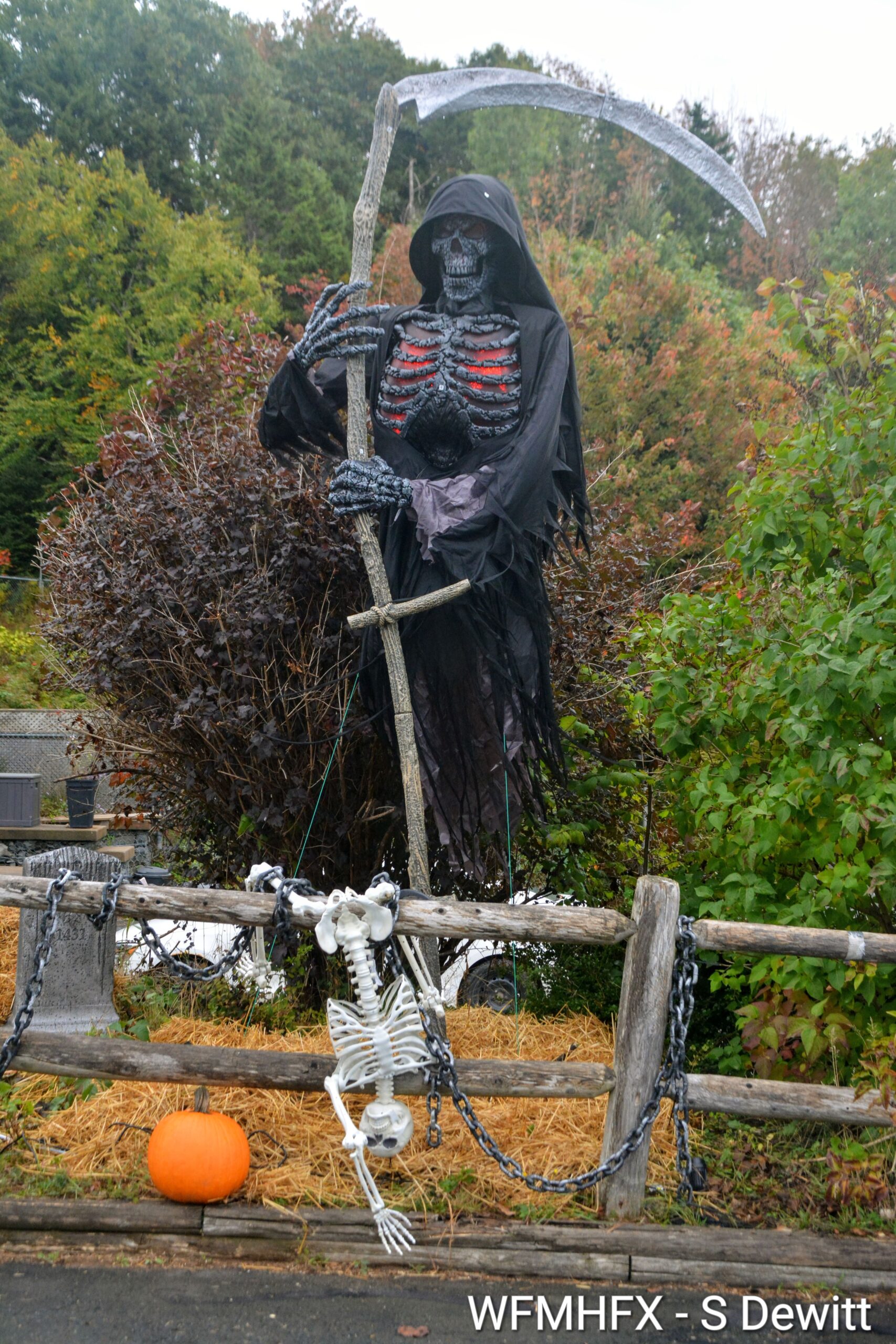 In photos - You'll get the sensations creeping along Waverley Rd (near Locks) as this house of creepy and crawly draws you in!