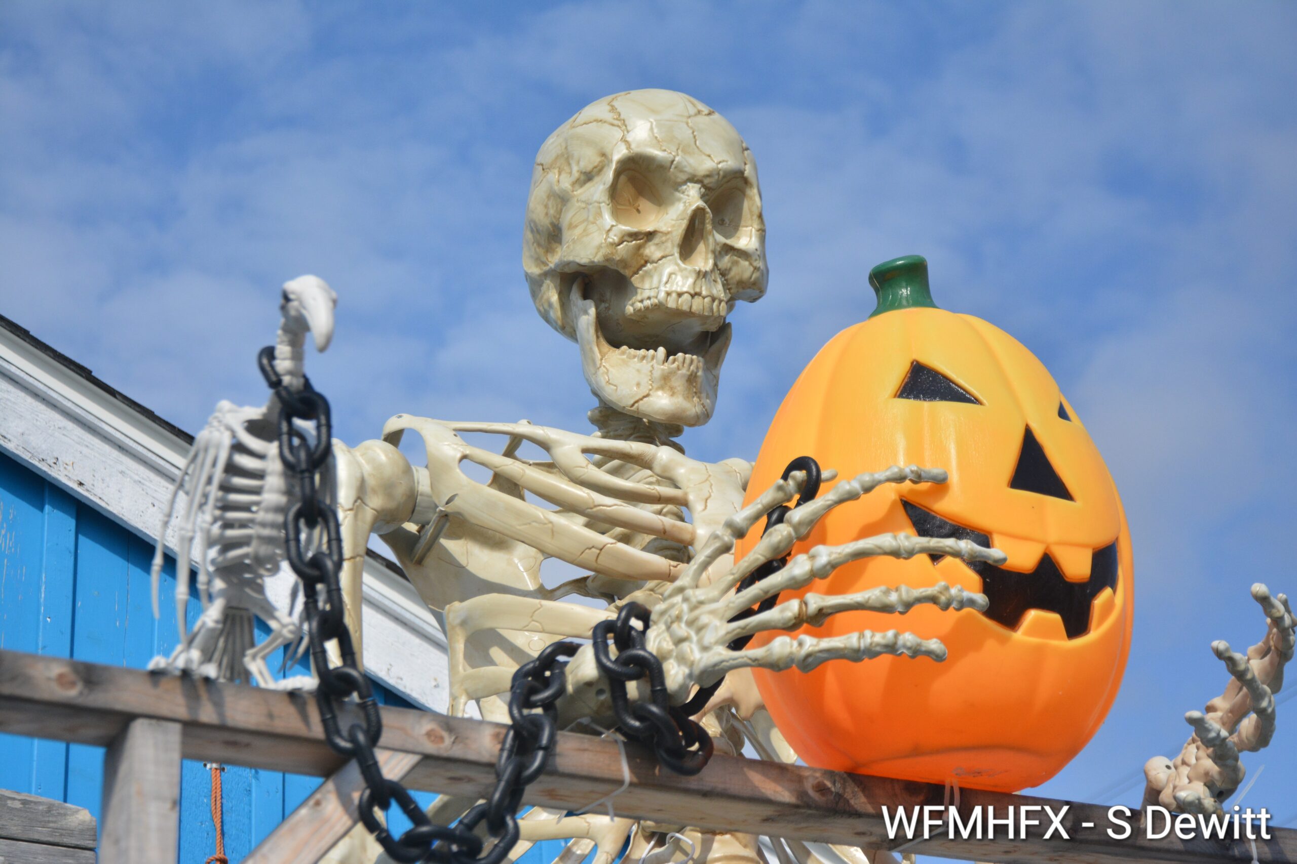 In photos - it's a "Shore Thing(s)" that you will be in grave danger at Government Wharf in Eastern Passage. But stand tall against the horrors of Seafury Way in Shearwater!