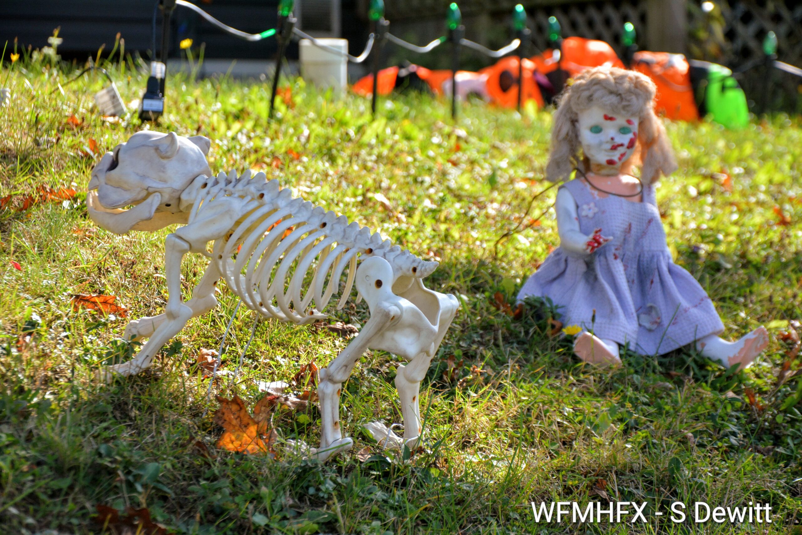 In photos - Be careful to not hold on to your doll too tight from fear on Corsair Dr in Shearwater, they might bite!