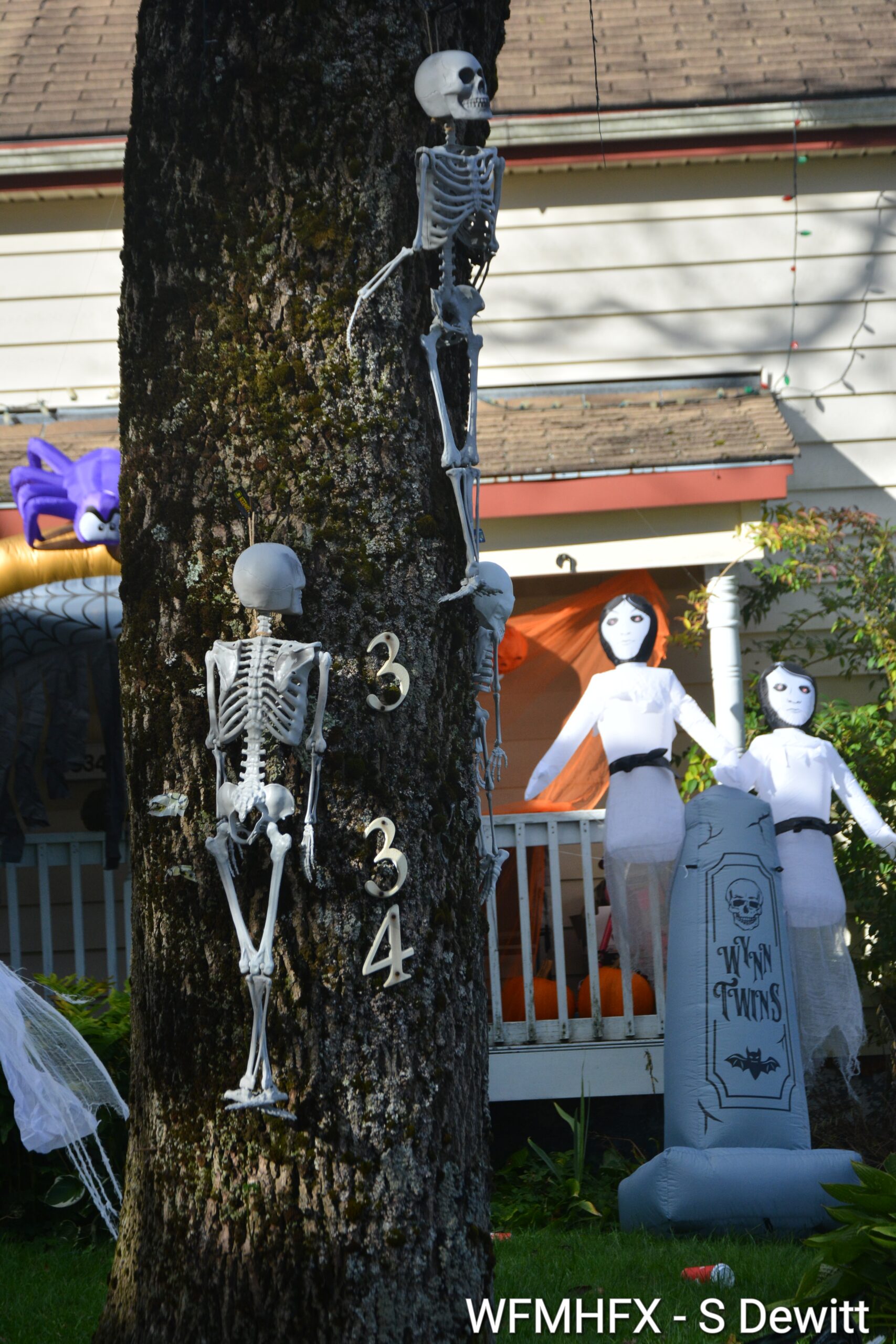 In photos - Don't hang out on Robie at Lady Hammond for too long, or the ghostly visions could drive you mad!