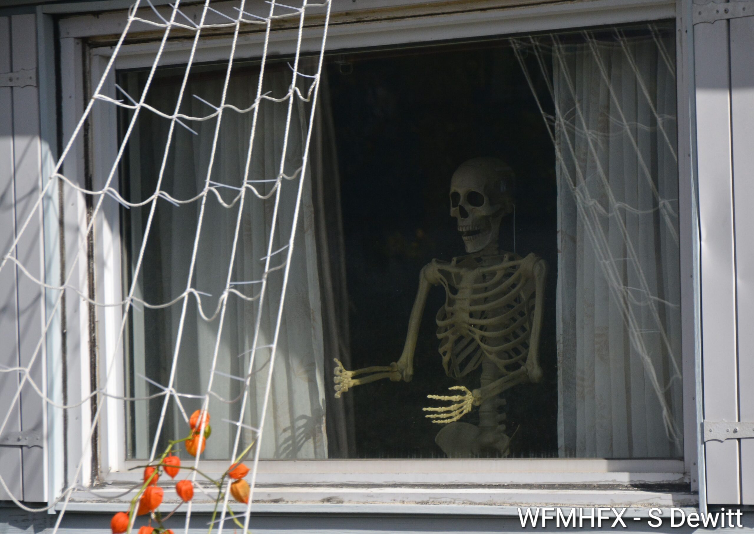 In photos - If you feel like you're being watched on Rodney Rd in Dartmouth, you could be in grave danger!  But if you try to flee through Dustan Rd, you will be met by shifty strangers!