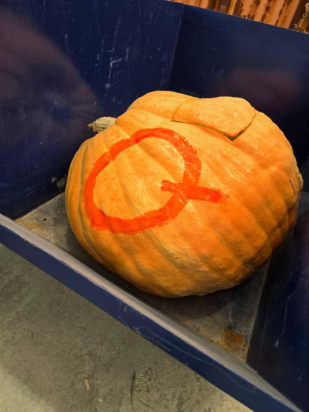 Gourdy, the pumpkin is READY for his Debut!