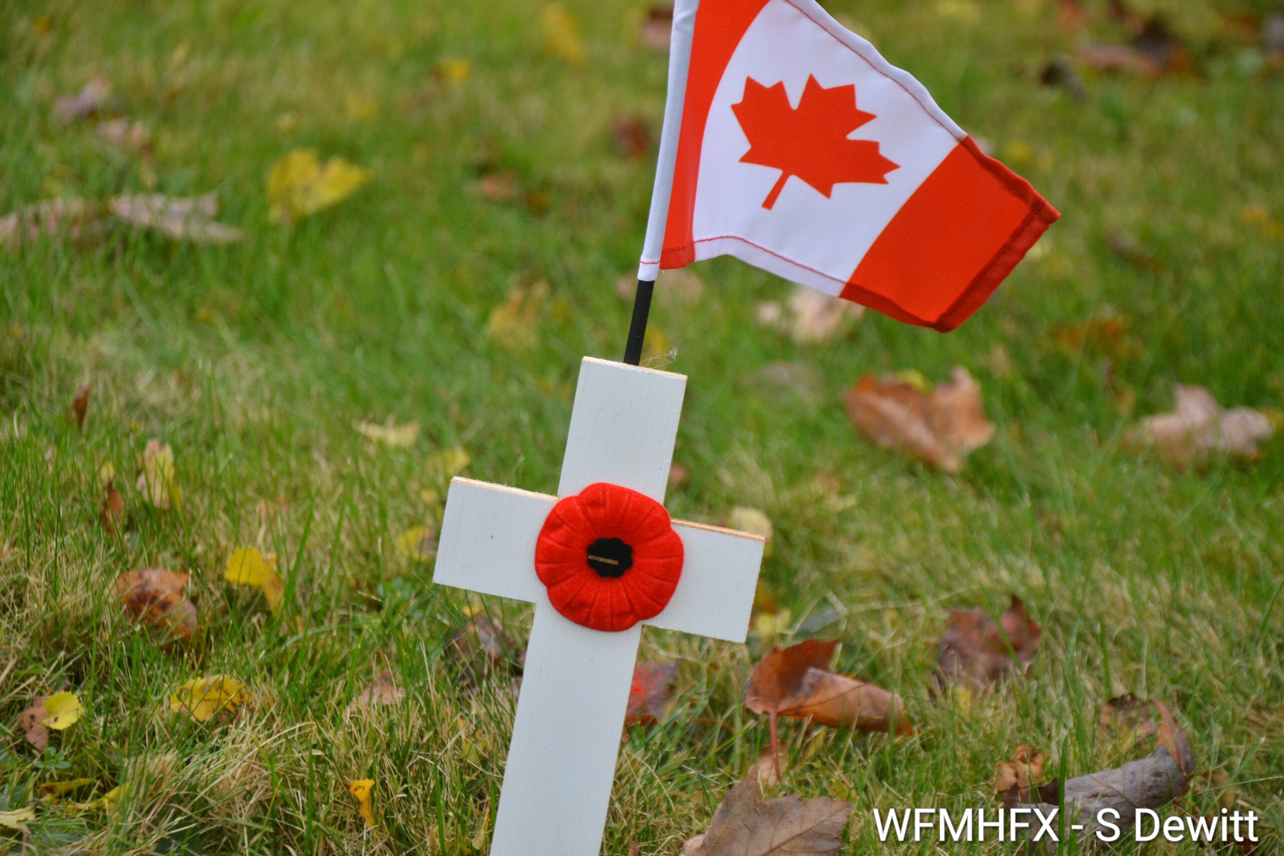Municipal service level adjustments for Remembrance Day 