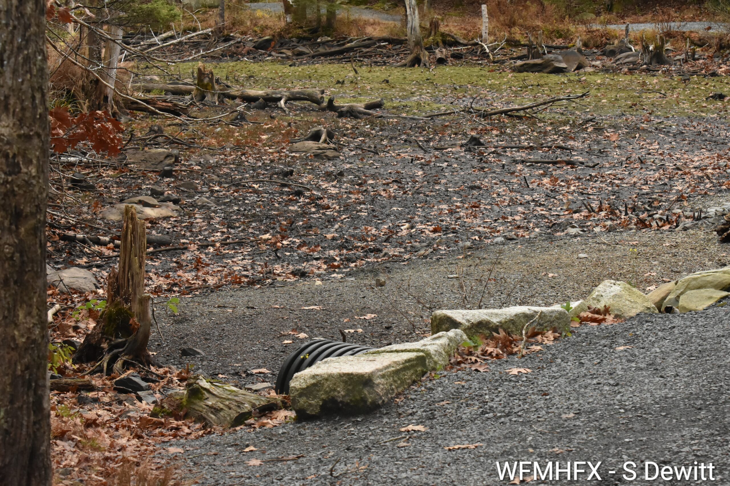 Repost - Low Water Levels at Lake Major Require Water Conservation Measures