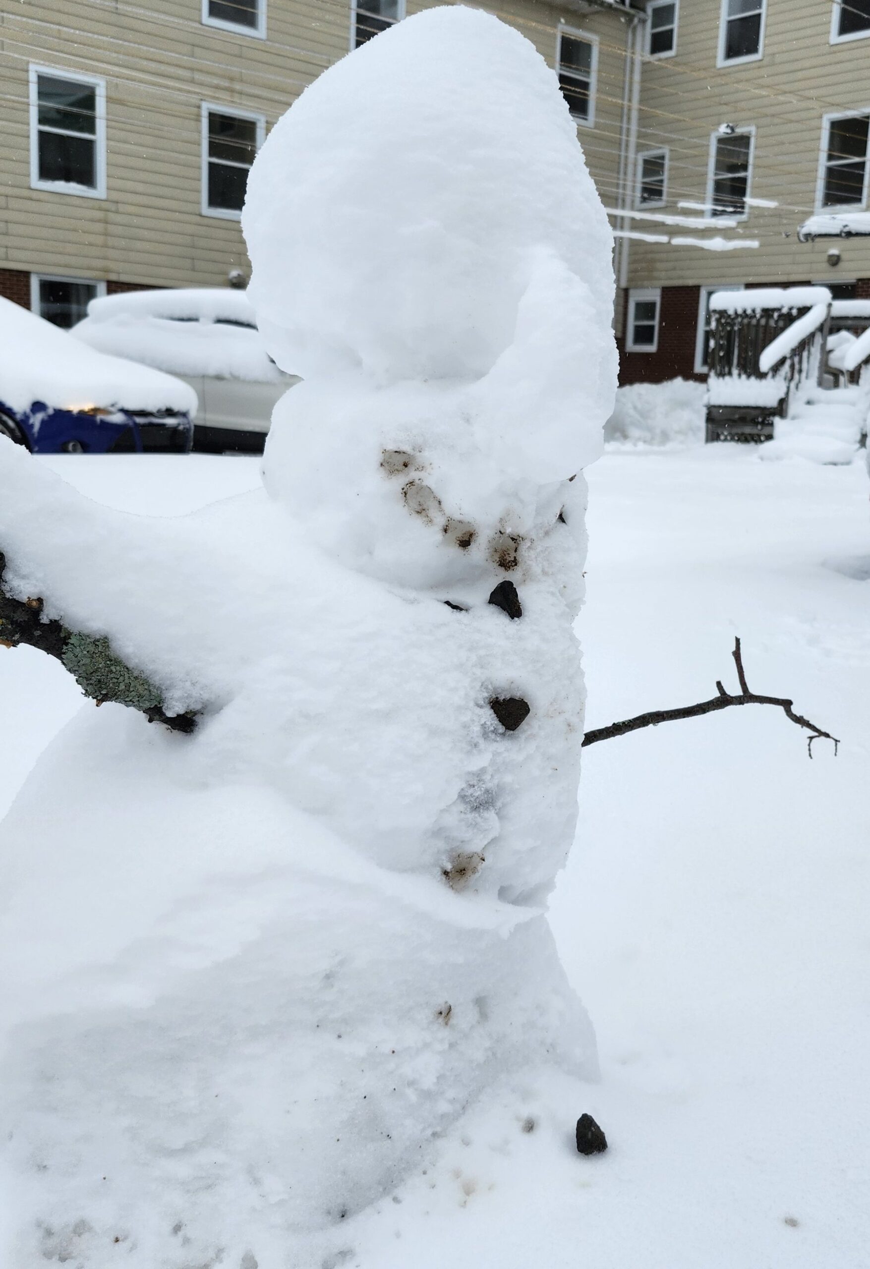 Welcome to a very literal first day of winter!