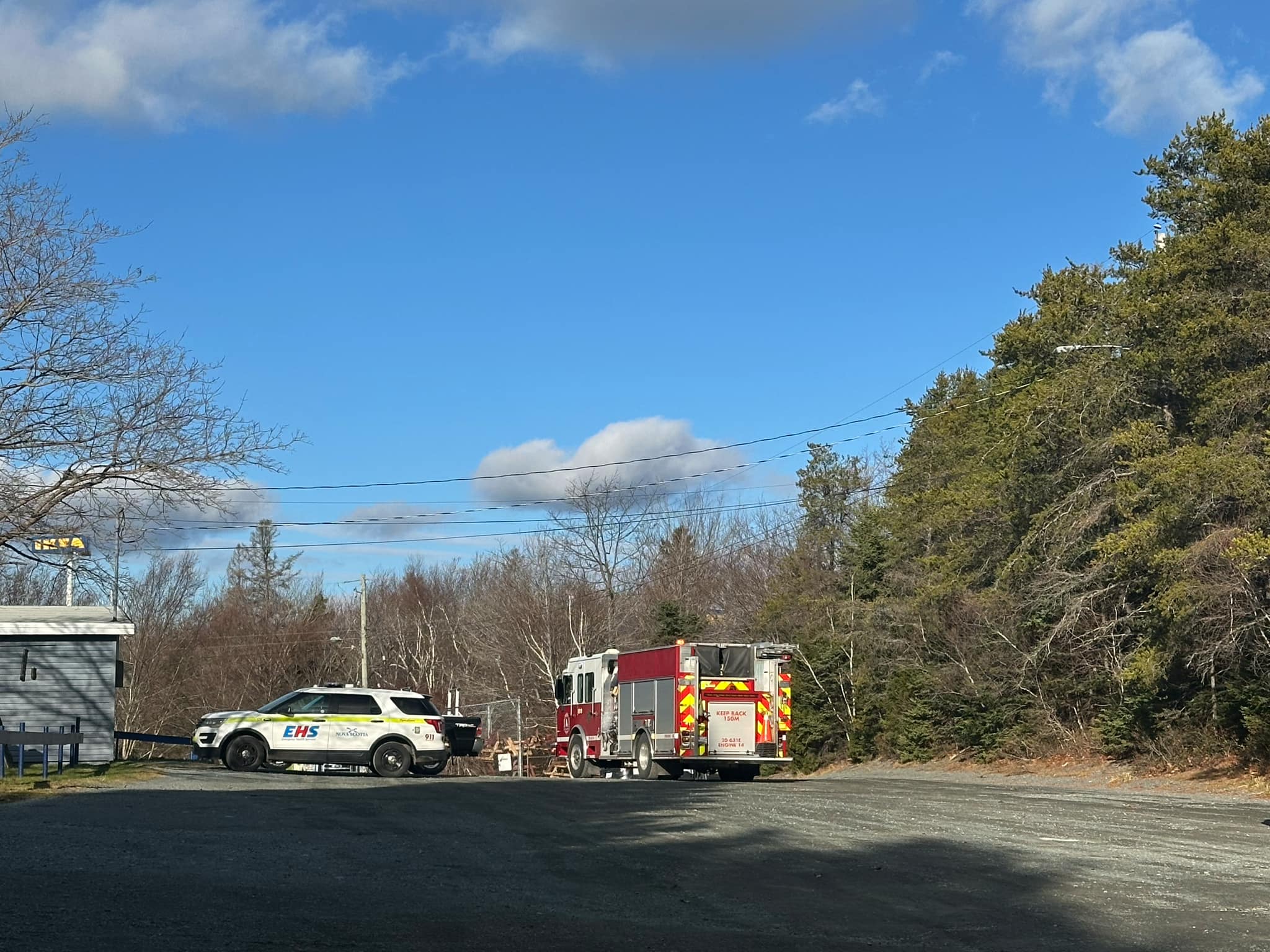 Park user pinned after tree falls in Shubie Park
