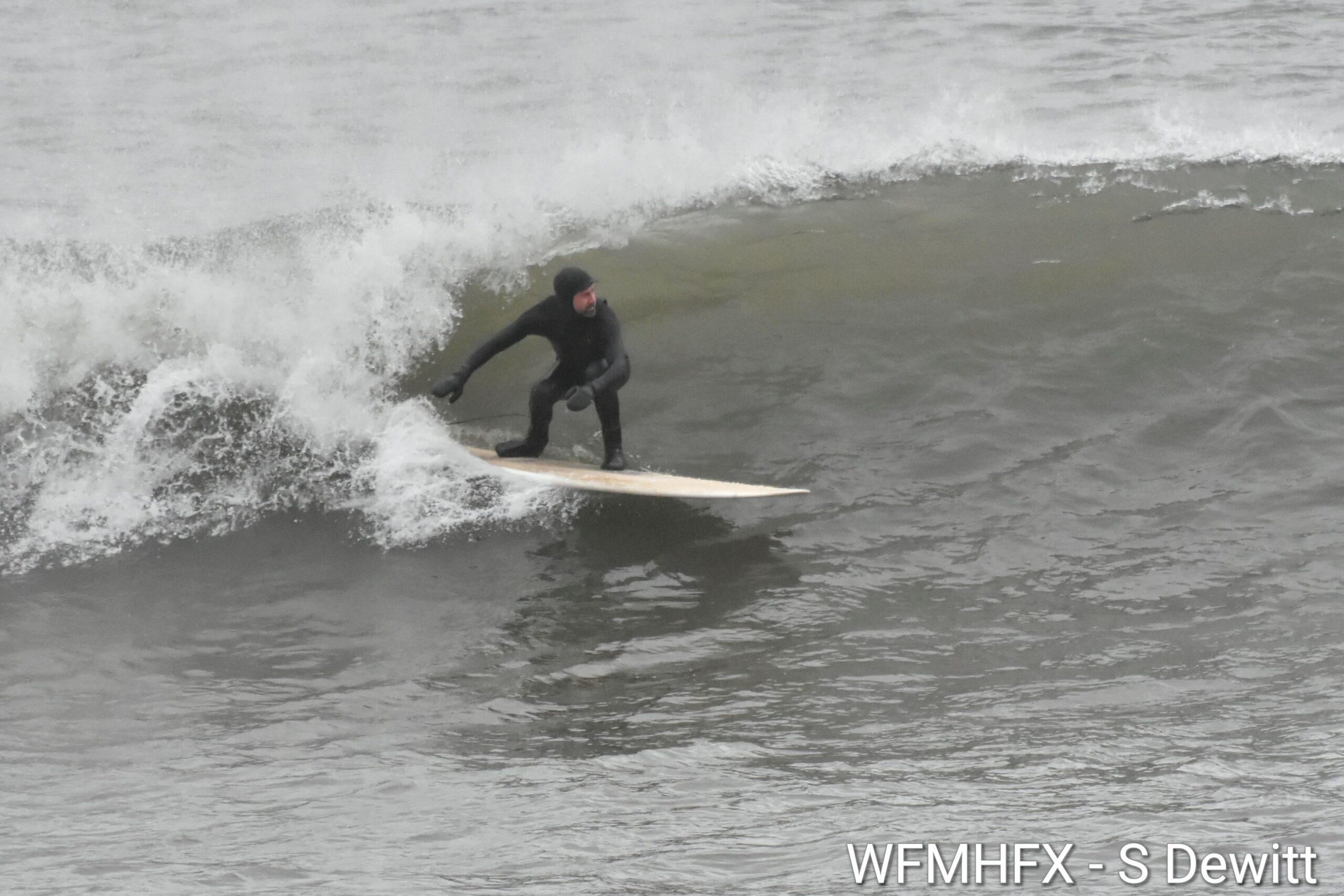 In photos - Surfers brave the chill in Cow Bay ahead of a cold streak