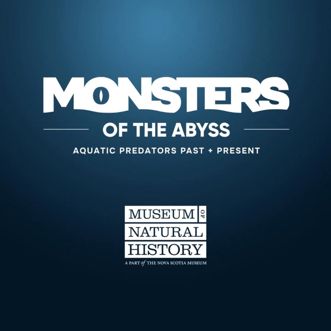 Something big is making its way to the Museum...