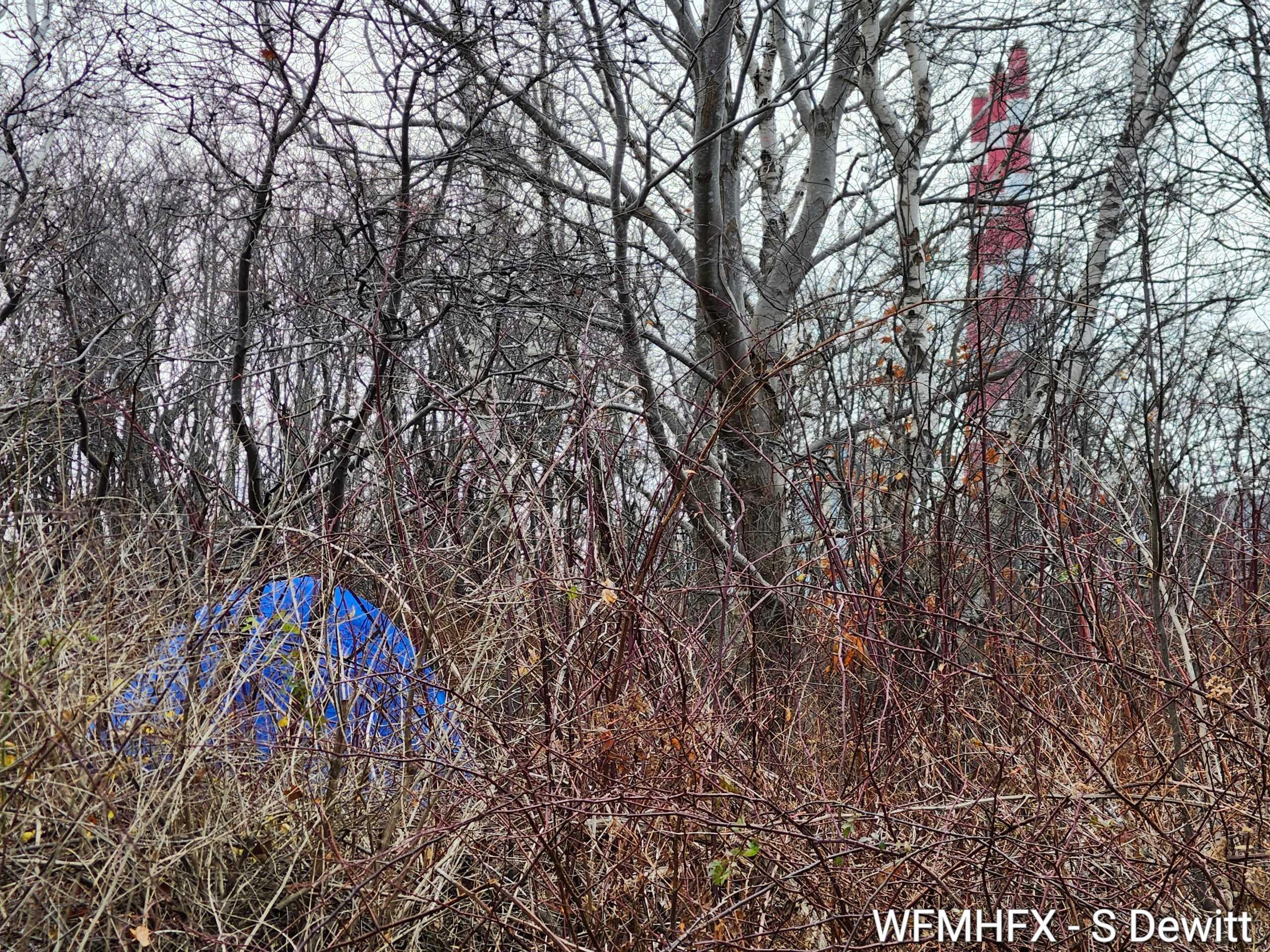 Temporary Emergency Shelter Opening in Halifax