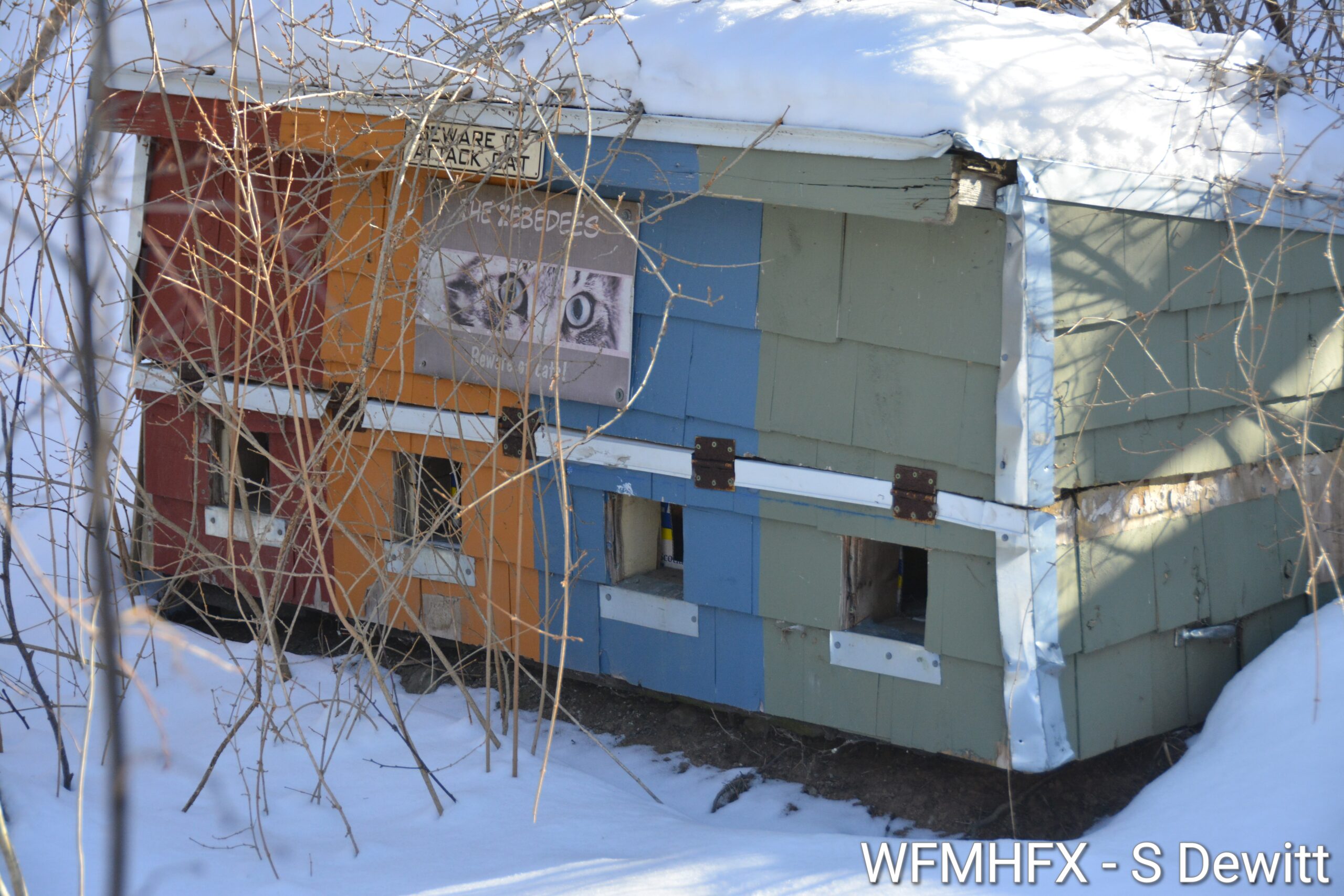 In photos - Helping the purr! An address in the Southdale area of Dartmouth is helping the local strays stay out of the harsh winter with various shelters, providing a little bit of security for the unfortunate furry friends