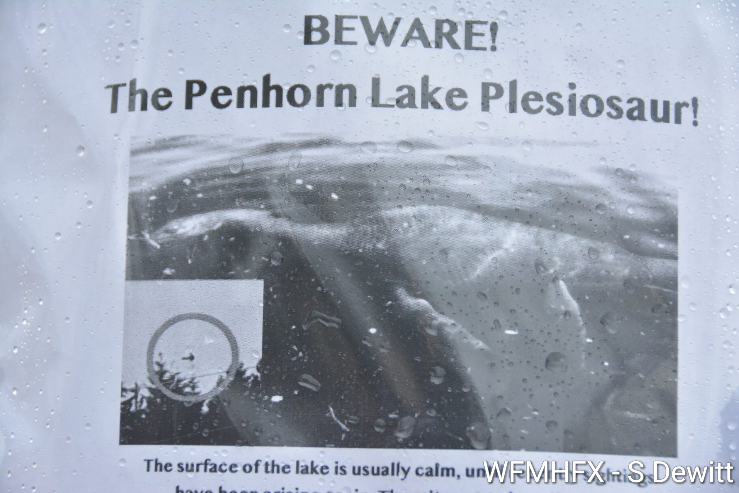 Take heed! Warnings posted in and around the Penhorn area in Dartmouth warn of mobsters spotted in the area, and a werewolf in Westphal!