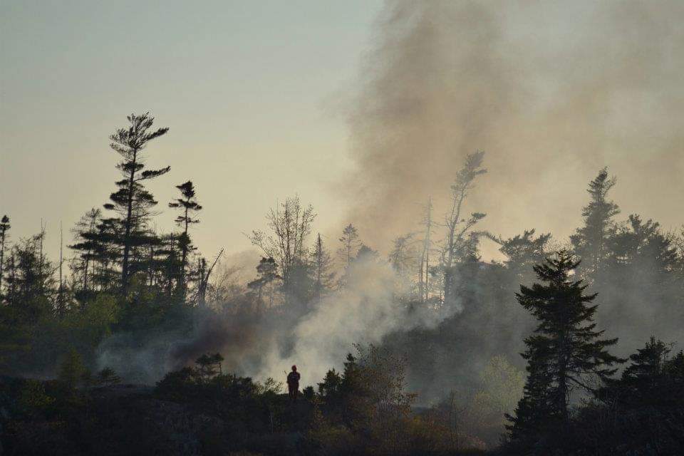 Wildfire season begins March 15  / Burning Rules and Regulations in HRM 