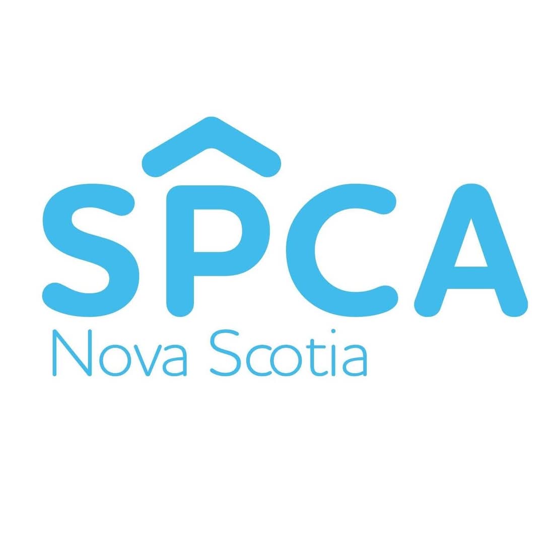NS SPCA - Investigators are looking for information on a German Shepherd puppy found on a trail near Alderney Drive in Enfield