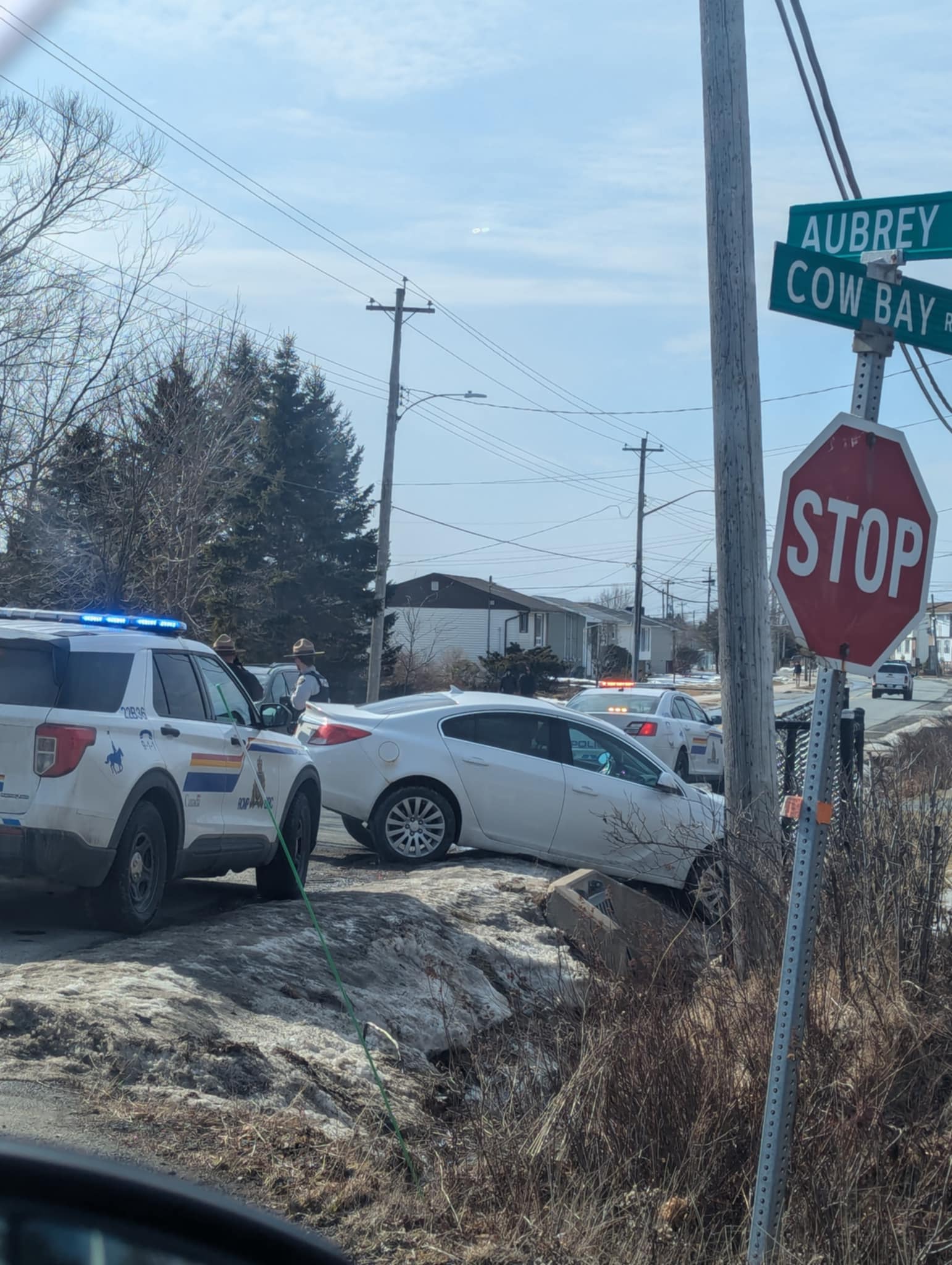Traffic Advisory - Cow Bay Rd