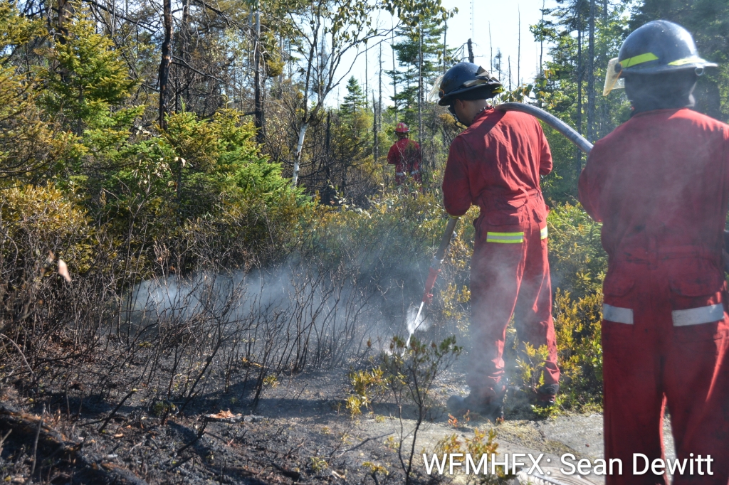 Yesterday’s high winds and dry conditions made for a busy day across HRM. Grass fires and downed trees on power lines kept crews responding throughout the region