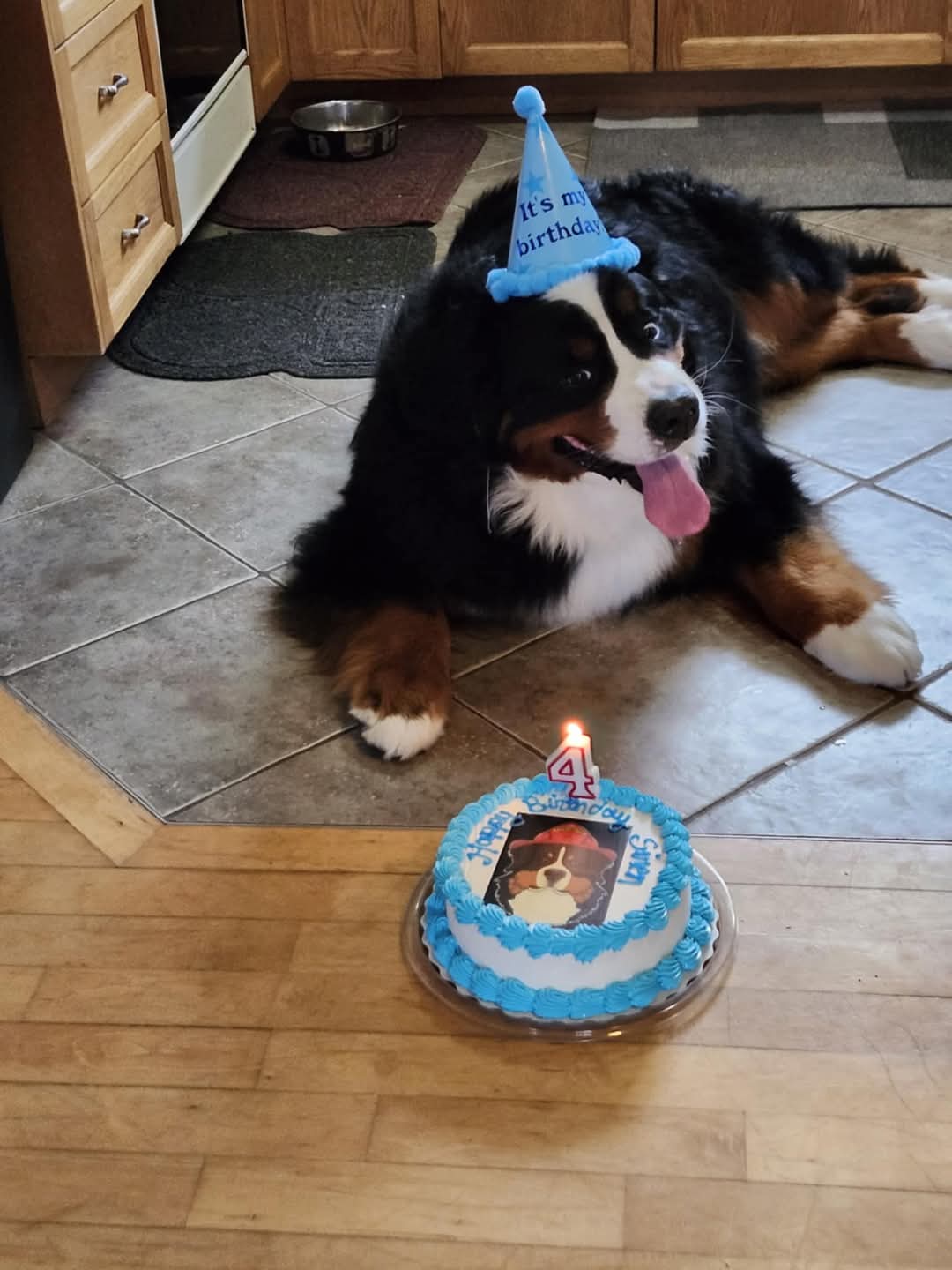 Happy birthday, Siren!