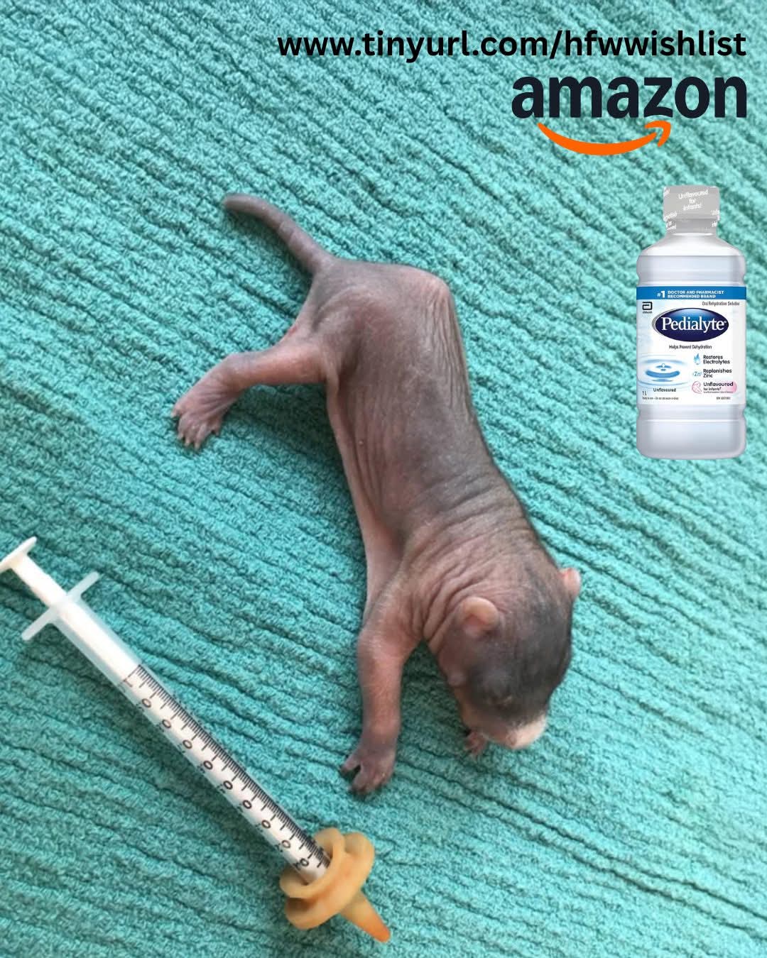 Hope for Wildlife - We often get asked if there are specific items we need, and yes, they are usually found on our Amazon wishlist!