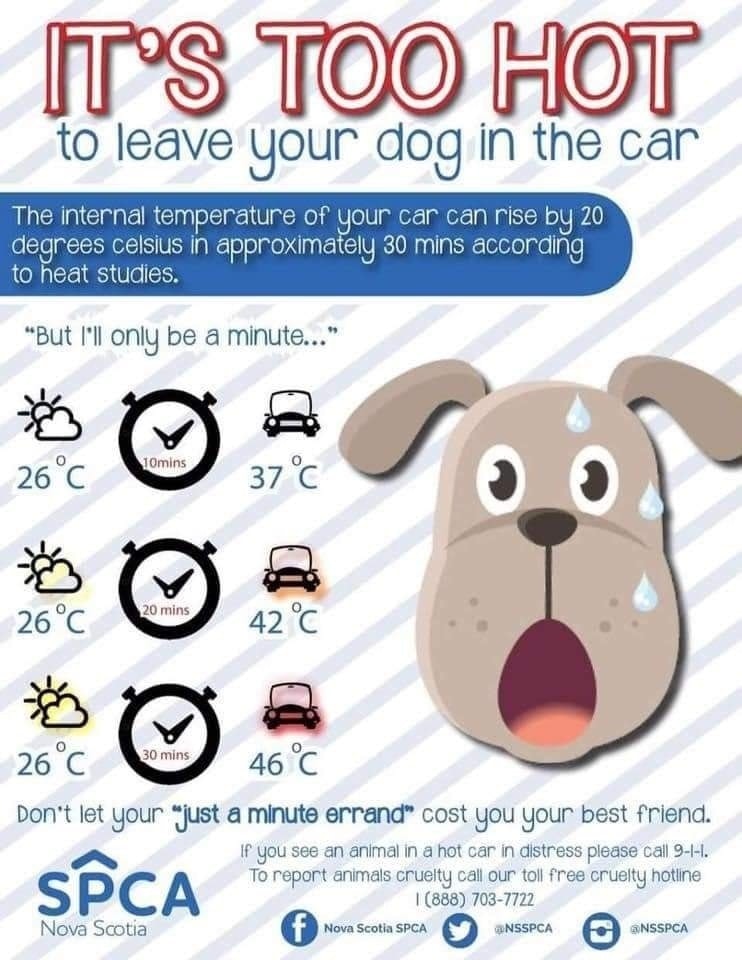 We have a few warm days ahead, so here's a reminder that our fur babies don't need to hang out in the car while we shop