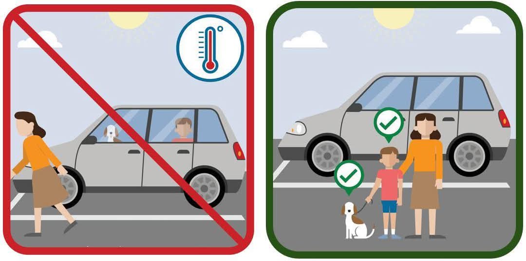 Extreme Heat - Dehydration can increase the risk for heat-related illnesses