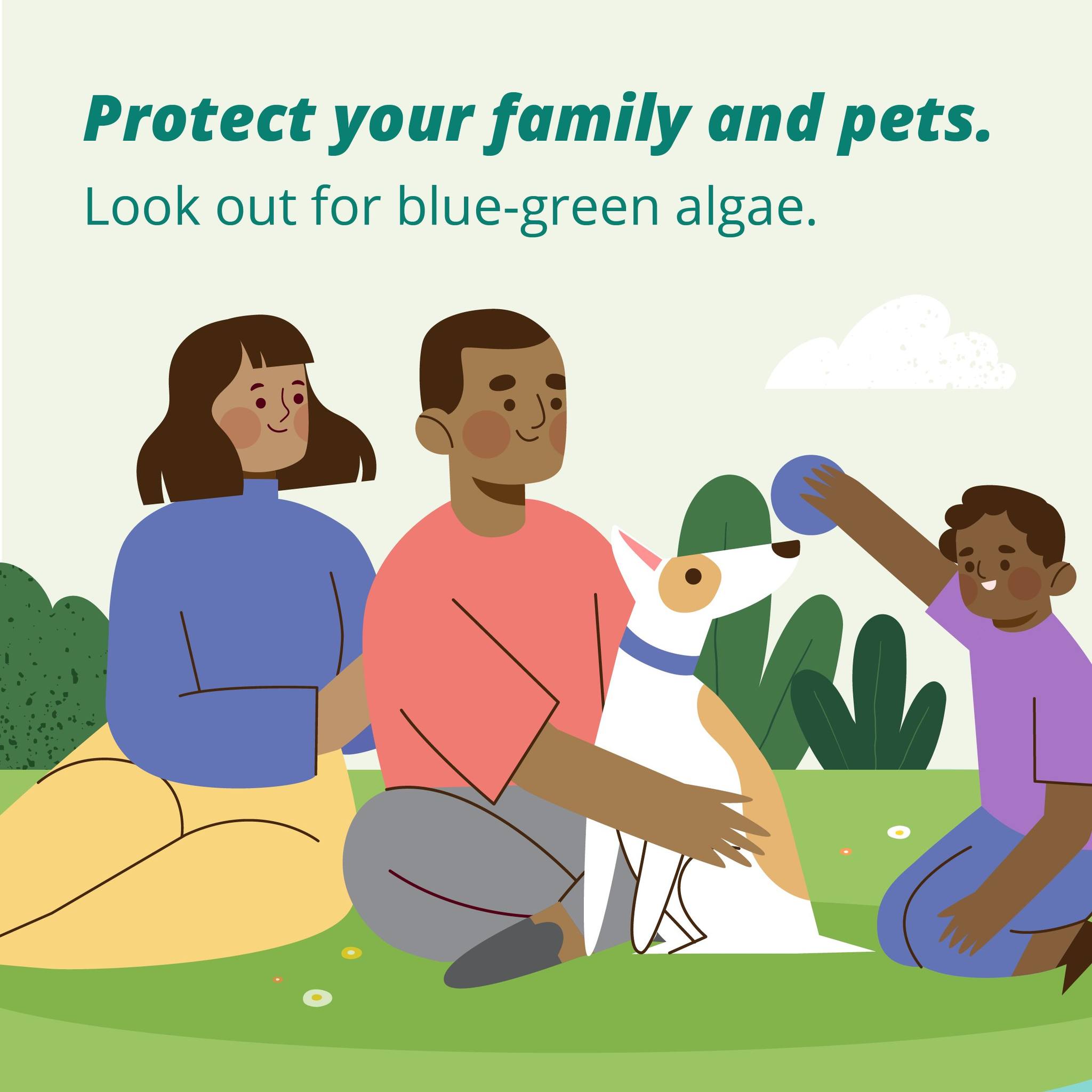There has been a report of blue-green algae at the following location