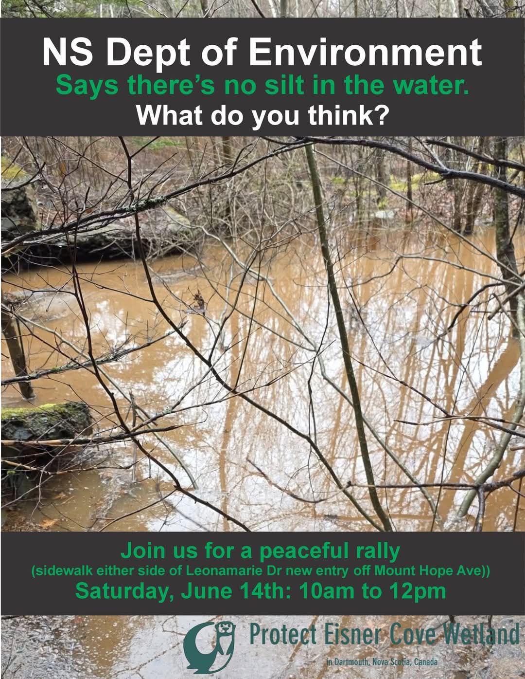 Protest at the Eisner Cove wetland to bring awareness to heavy siting from construction