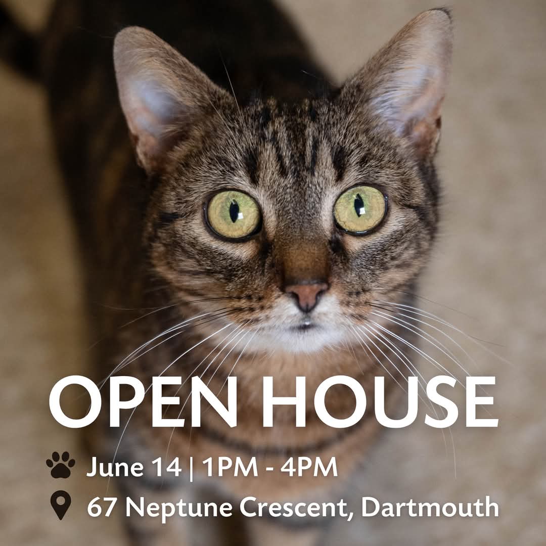 Join Bide Awhile on June 14th for our Open House
