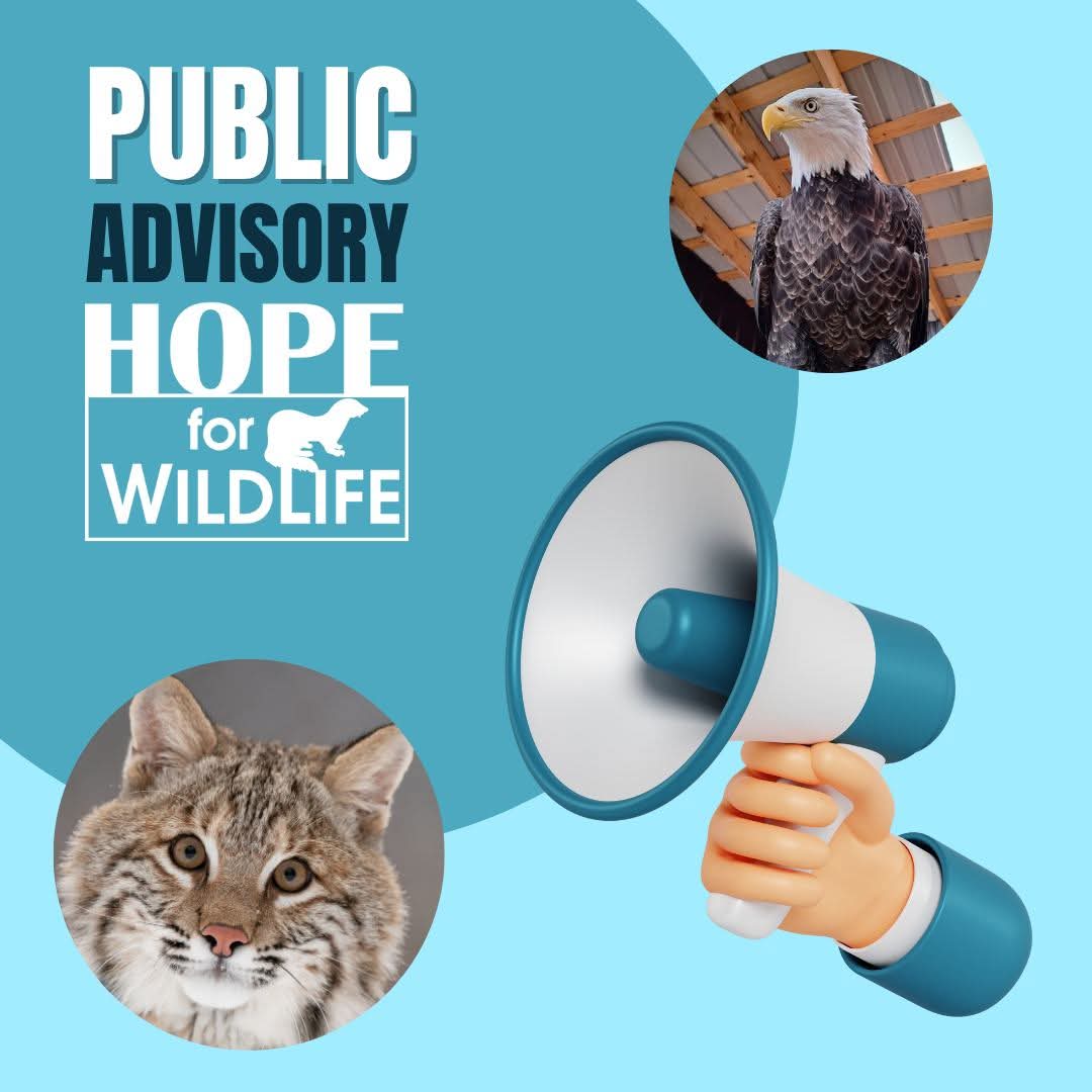 Hope for Wildlife would like everyone to know that Hope for Wildlife does not solicit for donations or goods door-to-door