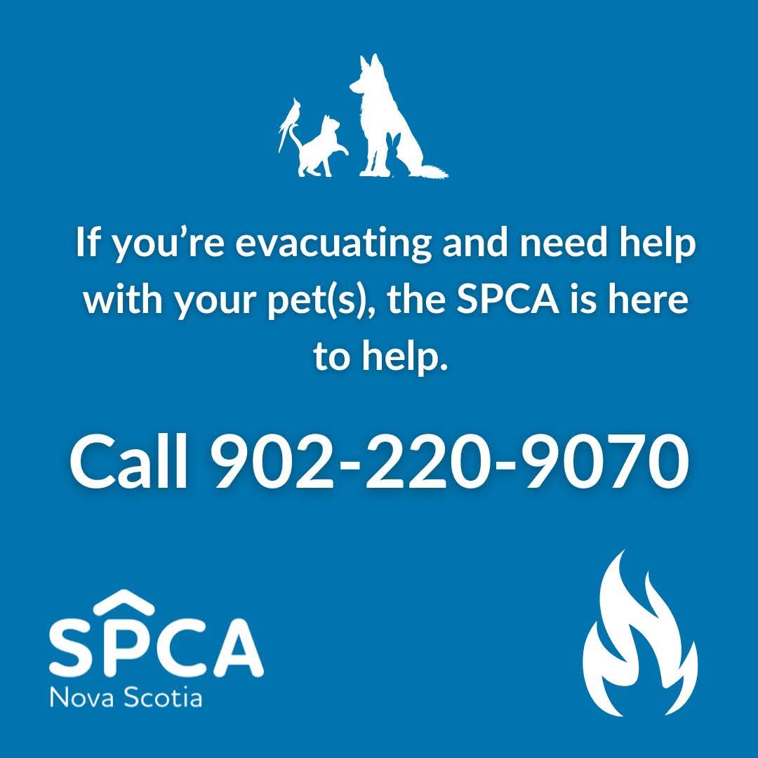 NS SPCA - If you're being evacuated from the wildfire in the Ostrea Lake area and need help with your pet(s), please call/text us