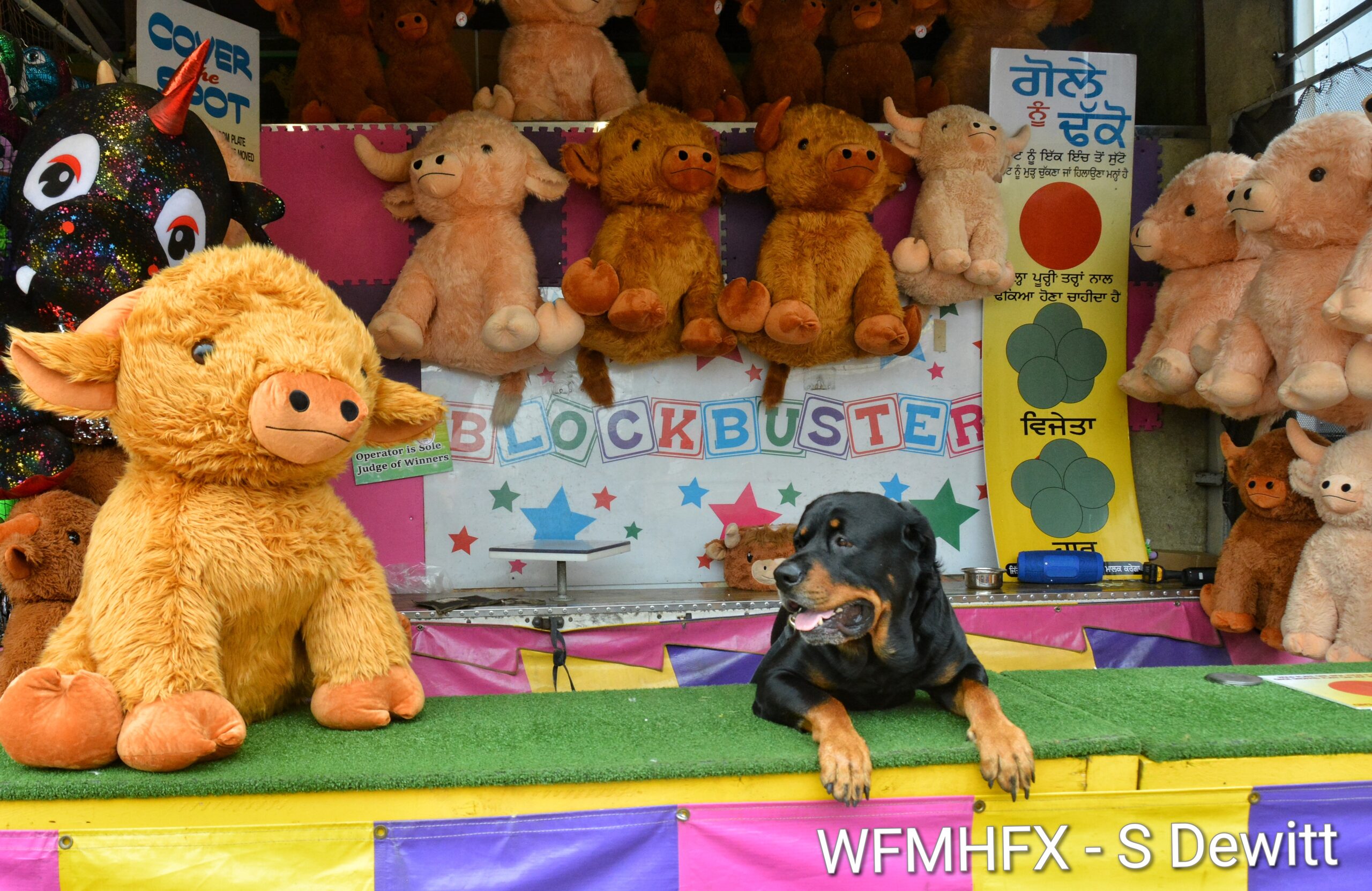 In photos - The Natal Day Weekend is coming, but the fun has already begun!  Some fair and Busker pics ahead! (and event info)