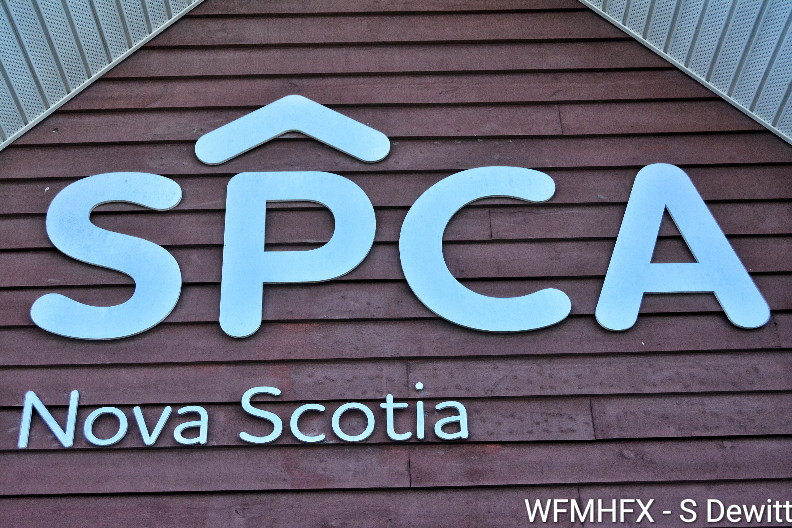 Woman Sentenced in Death of Two Dogs 