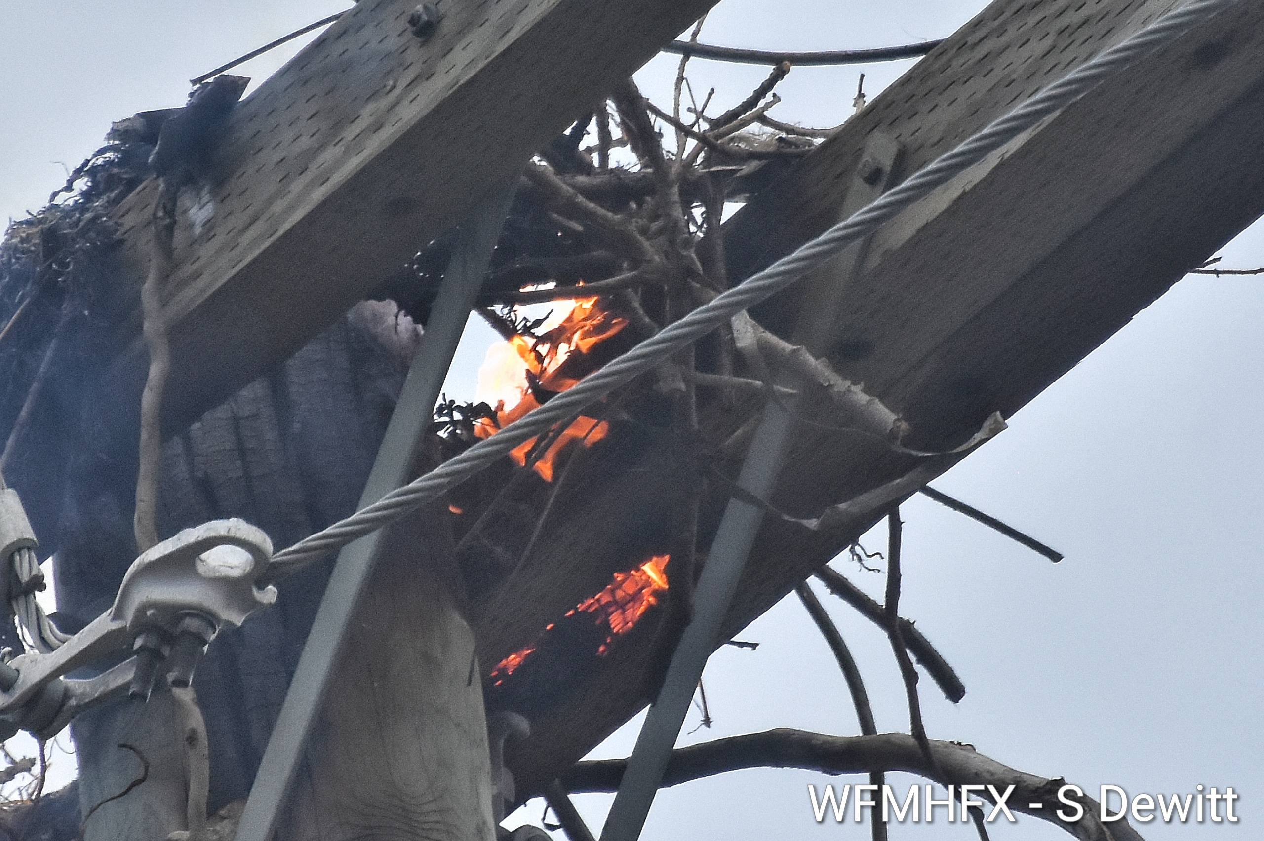 Osprey nest fire in Dartmouth