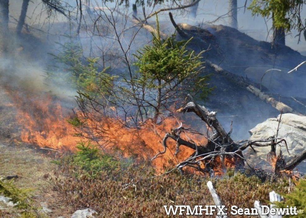 Provincewide Burn Ban Remains in Effect