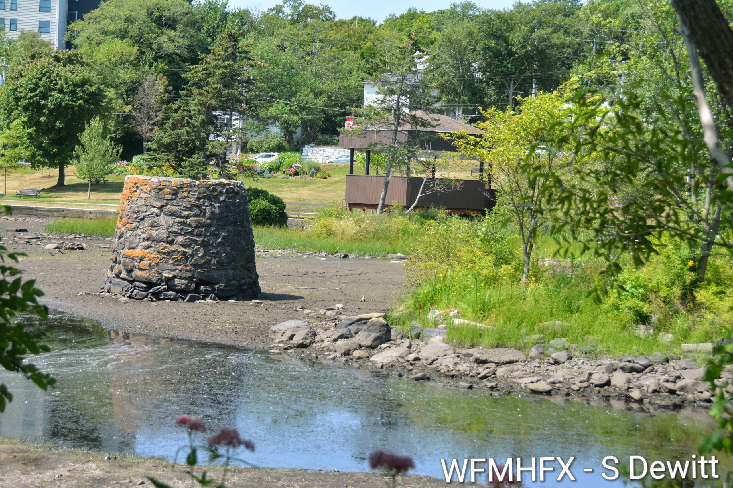 Water levels low at Sullivan's Pond