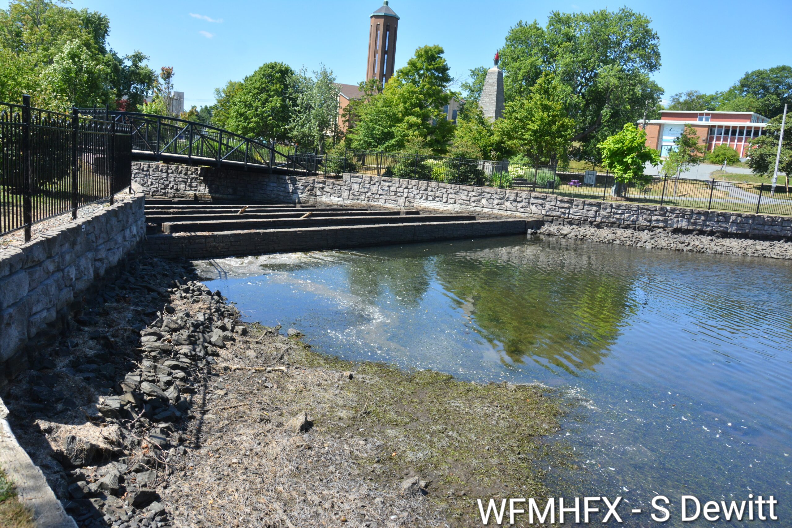 Conditions at iconic Pond worsen