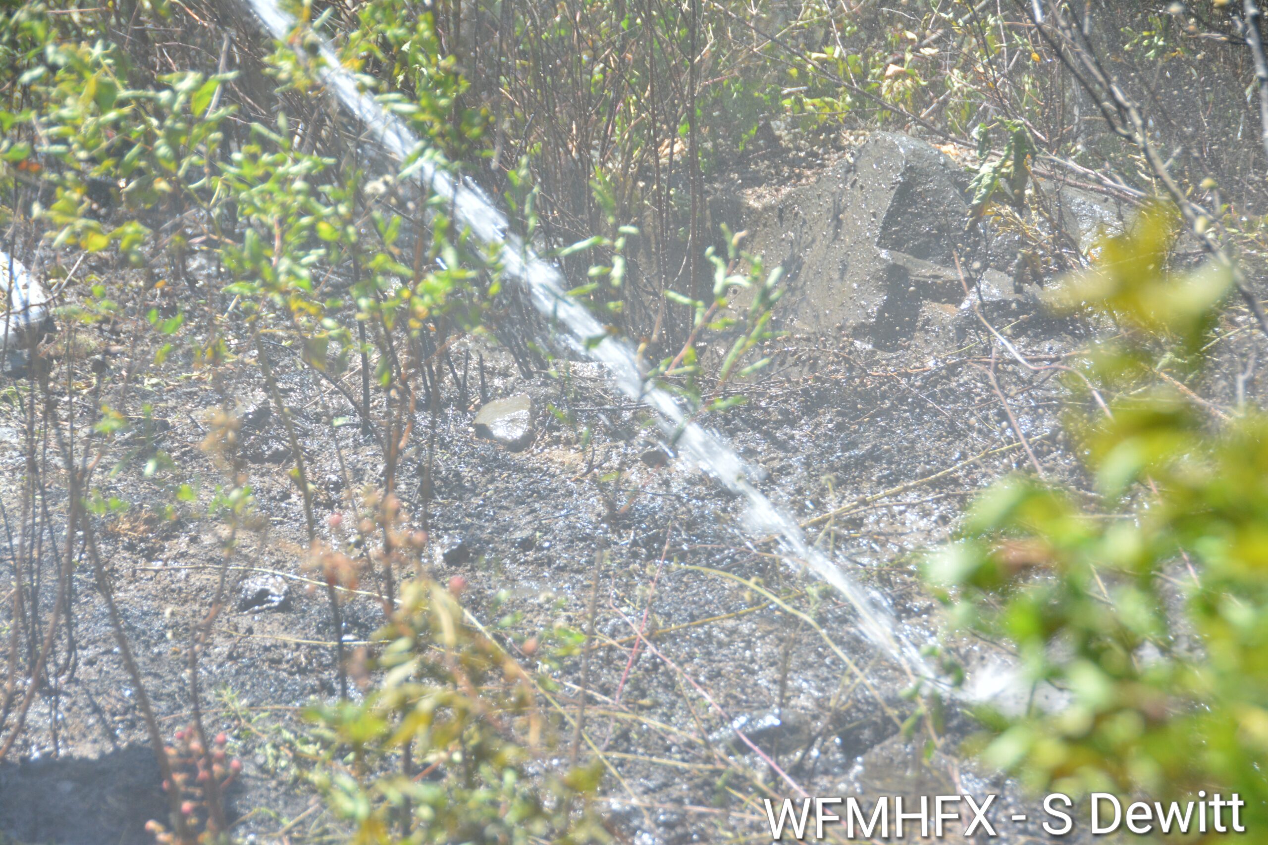 Repost - Wildfires – Get Prepared