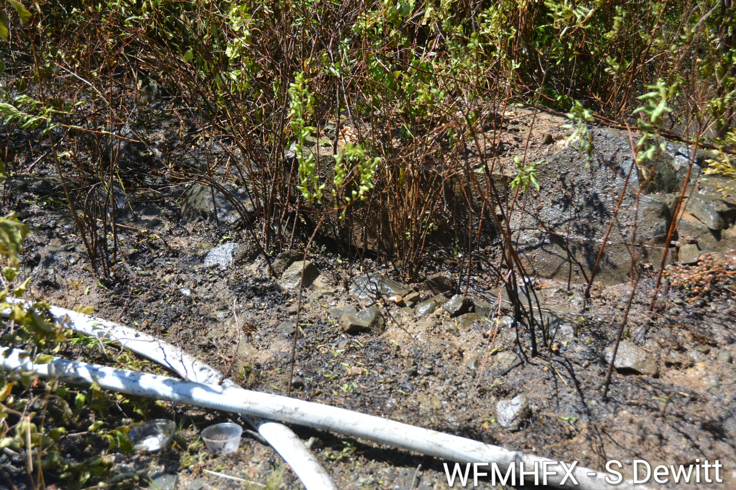 Small brush fire in Dartmouth