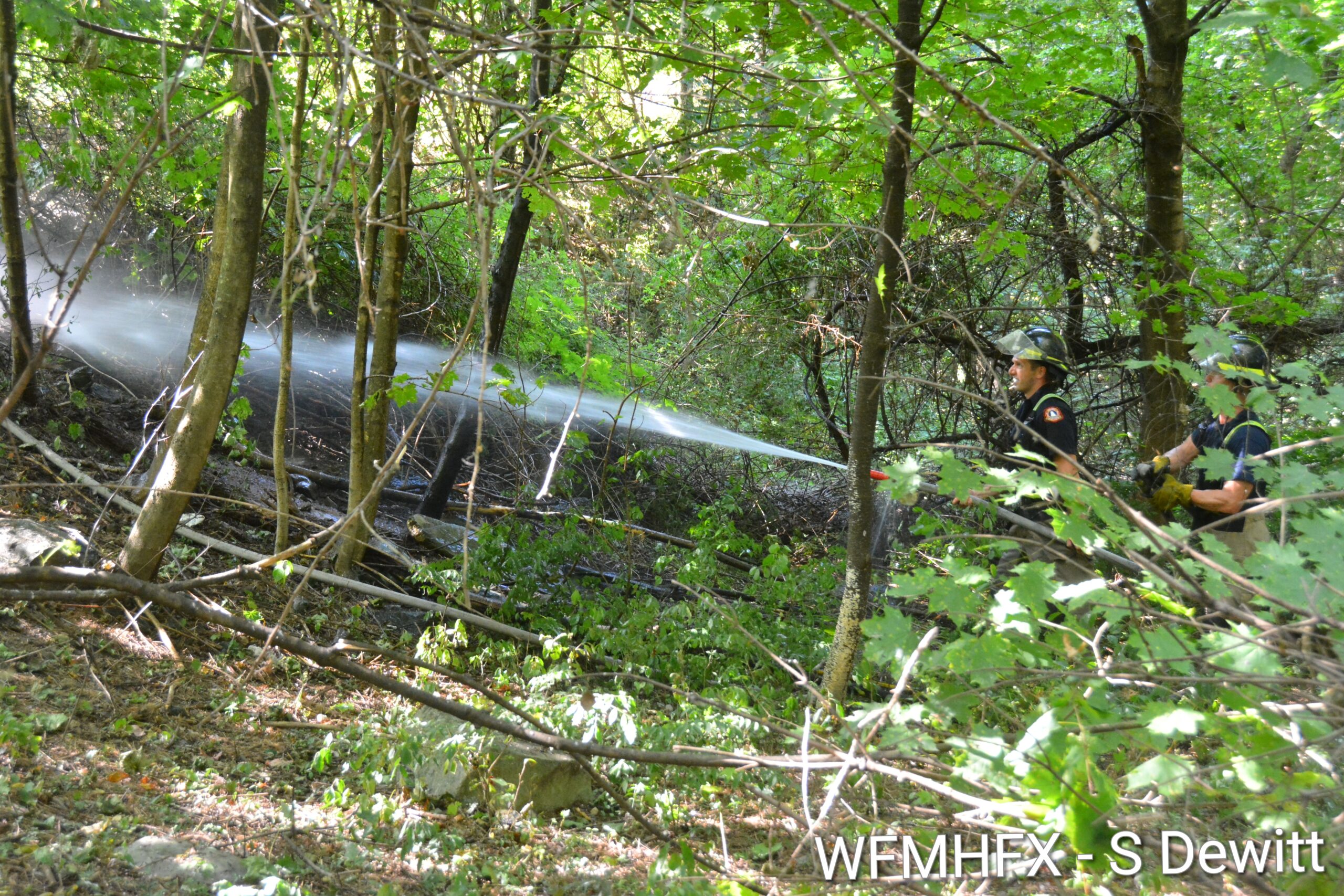 Small brush fire in Dartmouth