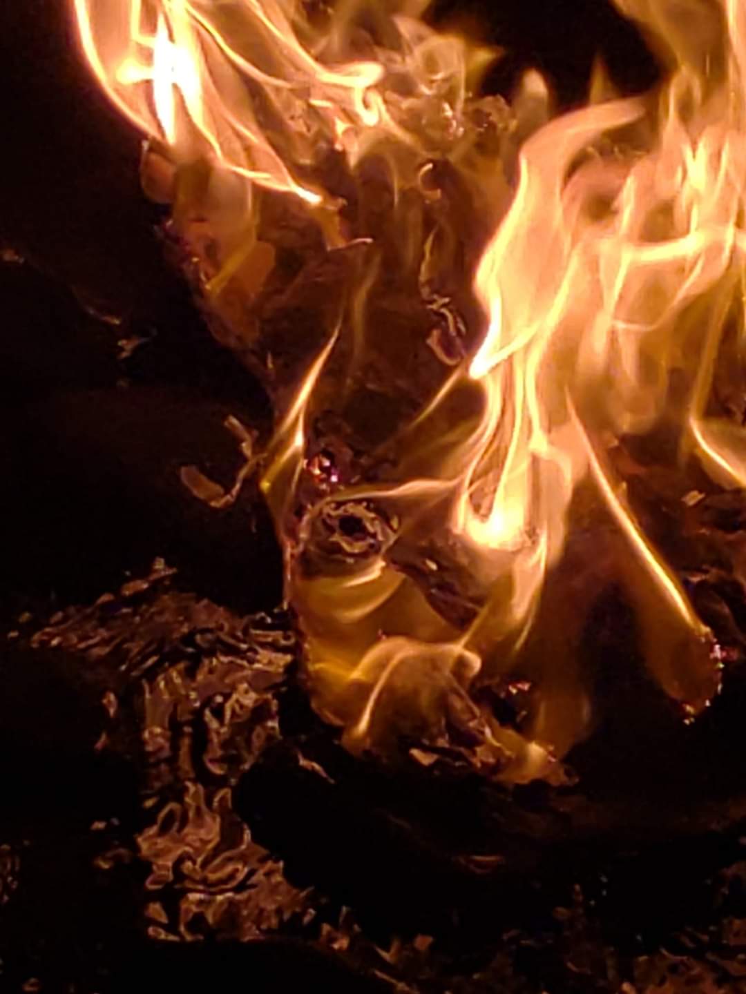 Repost - Forested areas and forested parks closed, provincial burn ban and voluntary water conservation in HRM / Fireworks ban