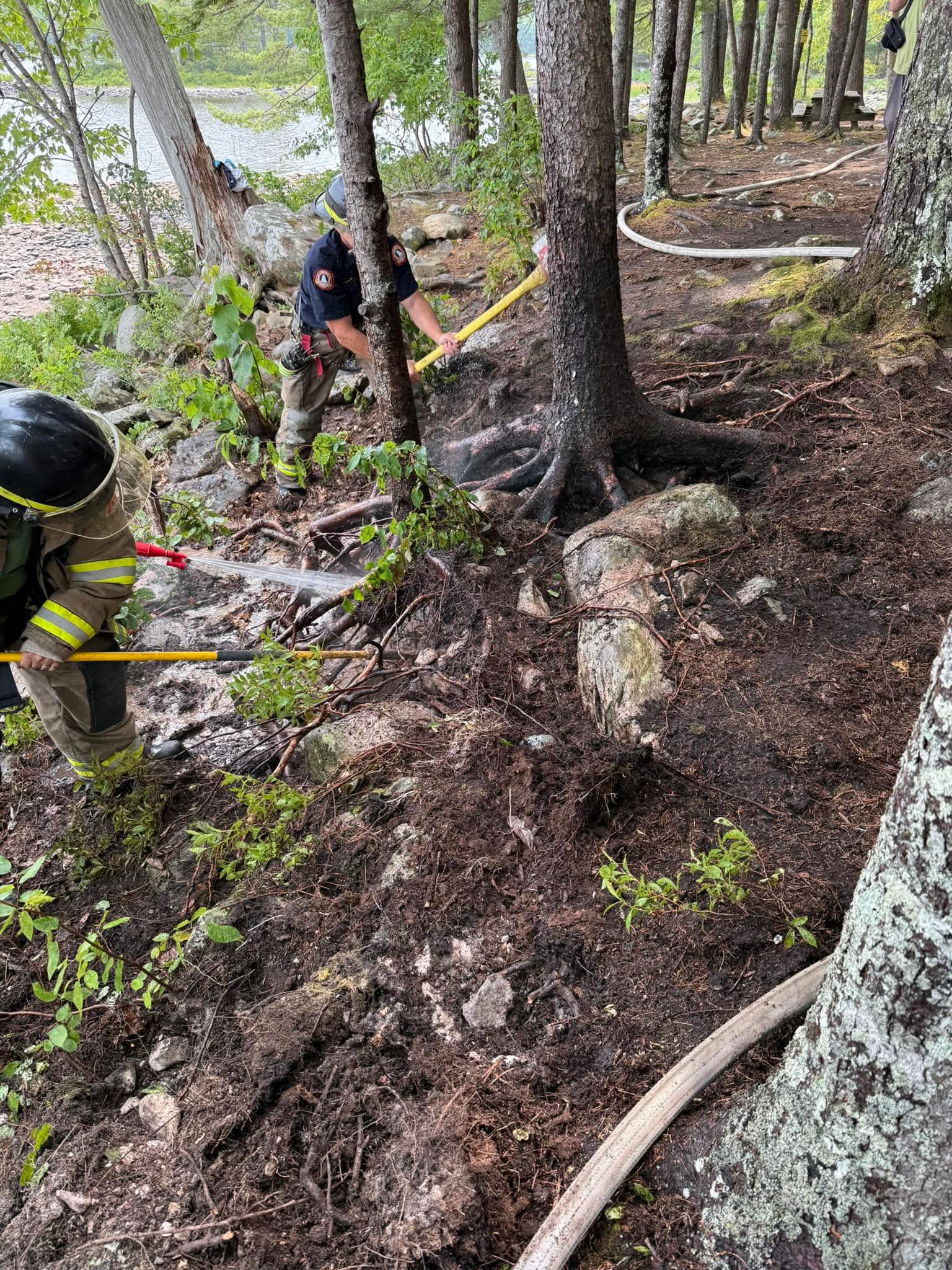A idiotic move by a very irresponsible person tossing still hot and used charcoal cubes into the woods at OAKFIELD Park