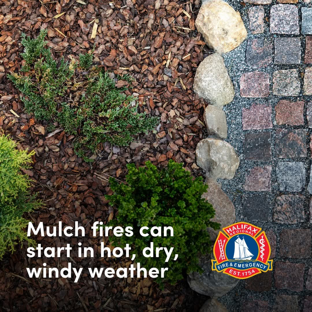 In hot, dry, and windy conditions, mulch can catch fire—from decaying material that builds up heat, sparks, embers, or improperly discarded smoking materials