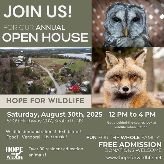 Hope for Wildlife - Annual Open House