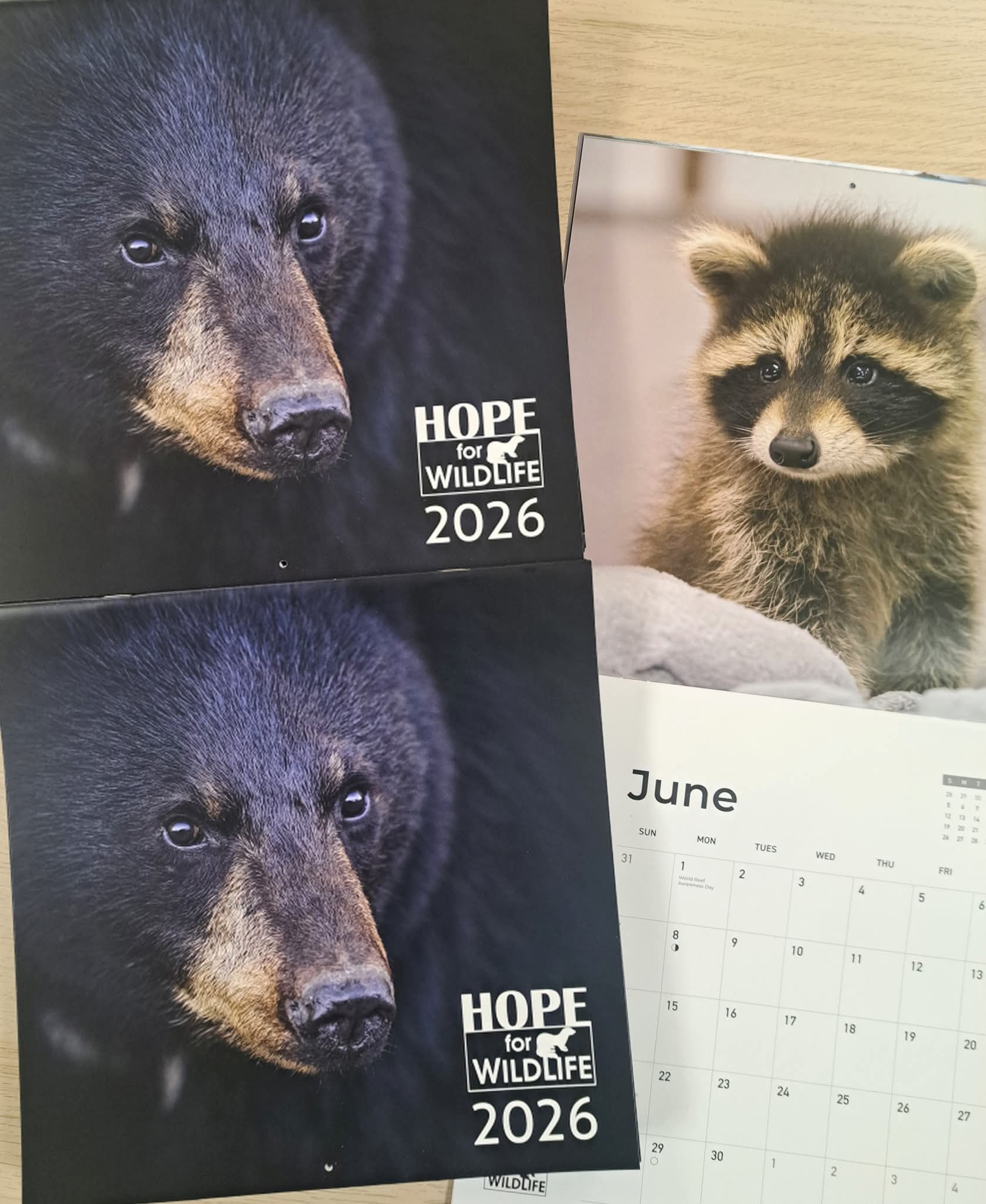 Hope for Wildlife - One day only! Special deal!