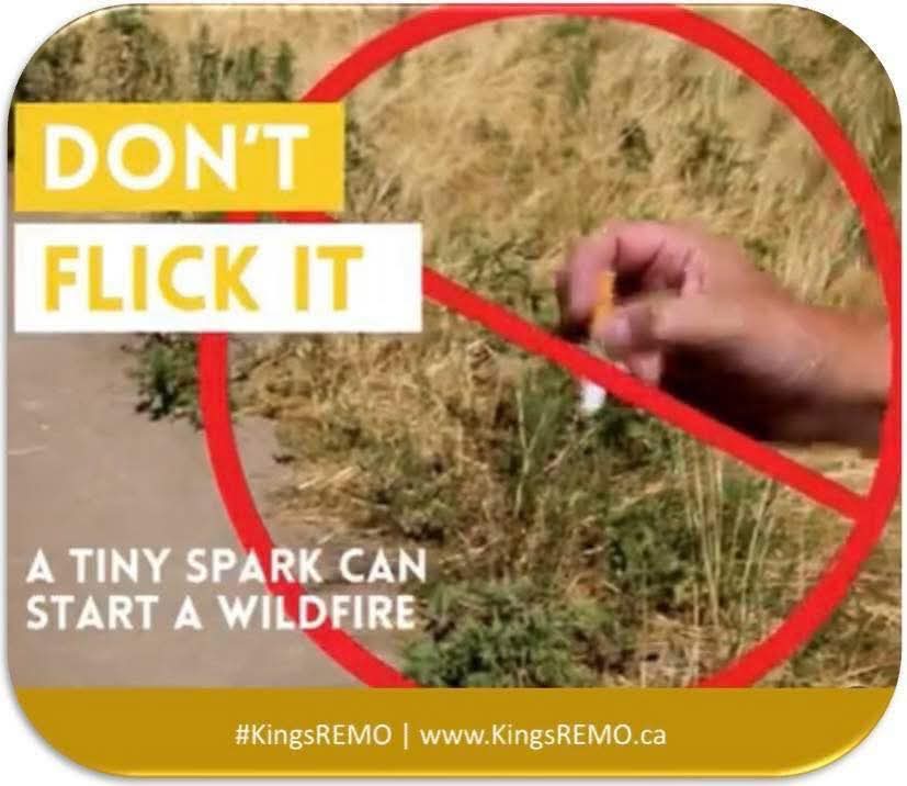 DON’T FLICK IT!