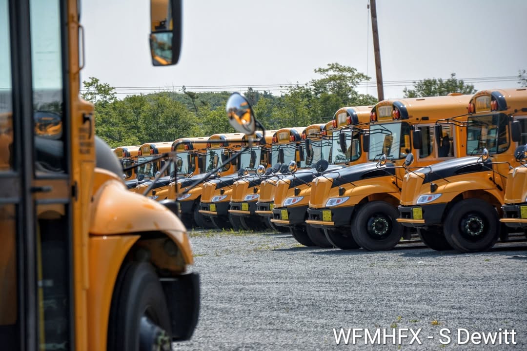 School Bus Safety Awareness