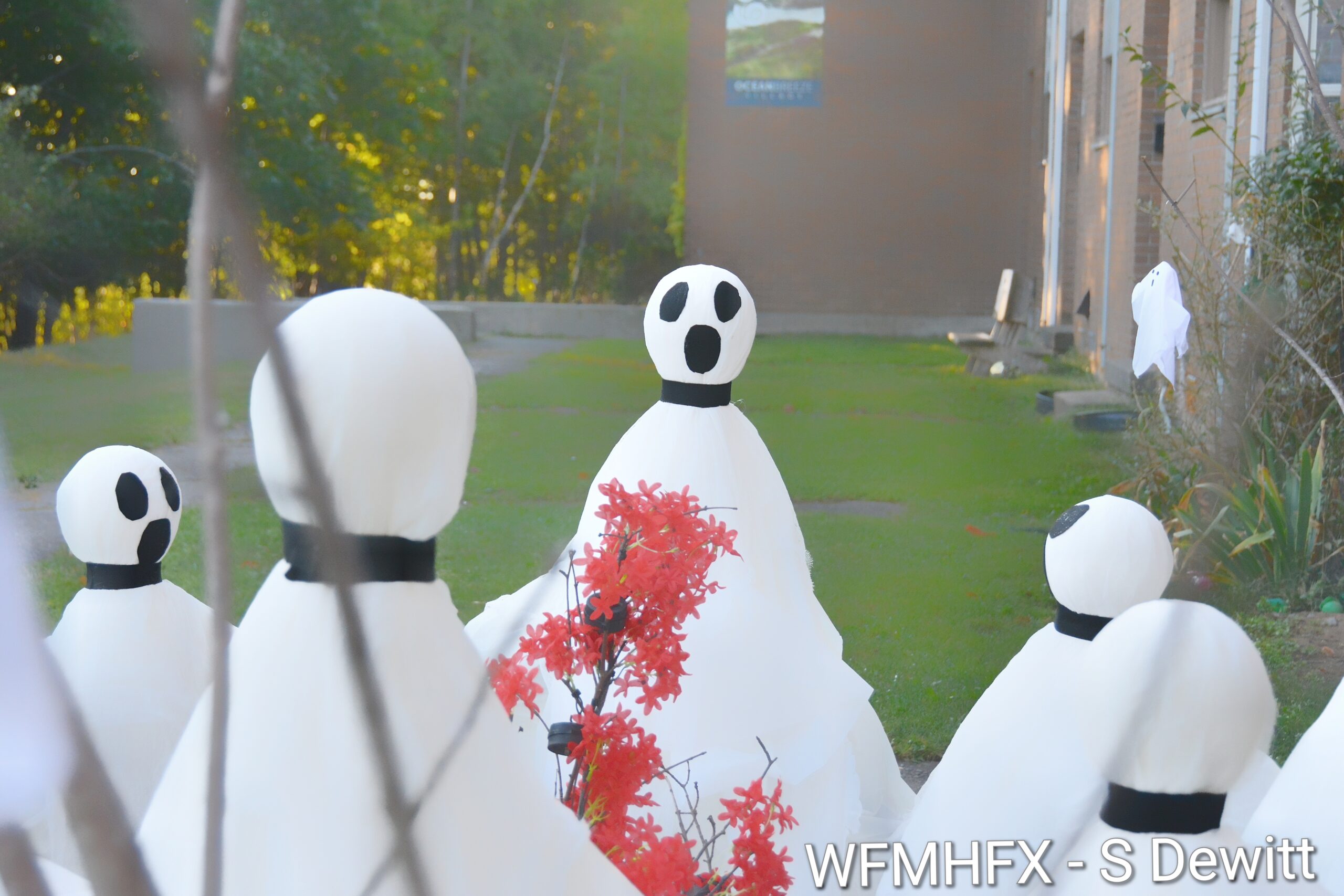 In photos - You can feel the spirit of Halloween rising as the most spooktacular day of the year approaches along Princess Margaret Boulevard in Dartmouth!