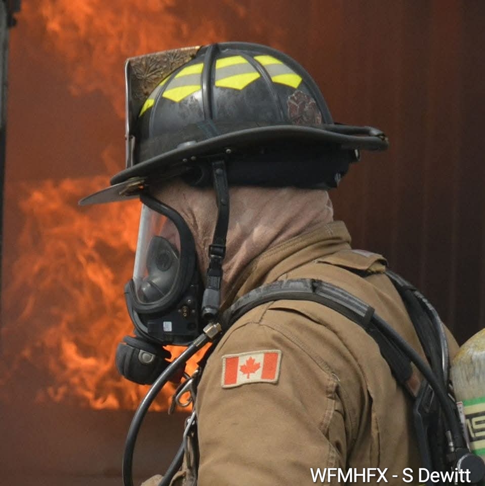 A broad group of experienced firefighters and emergency management professionals will create a new firefighter training program for the province