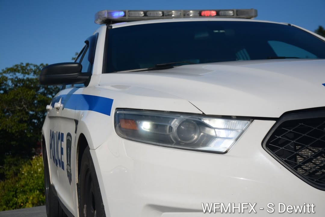 Students are heading back to university and college this week, and Halifax Regional Police want to ensure everyone settles in safely and understands the local laws